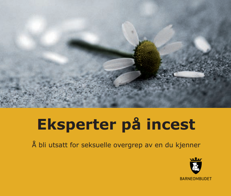 Forside rapport Eksperter pa incest