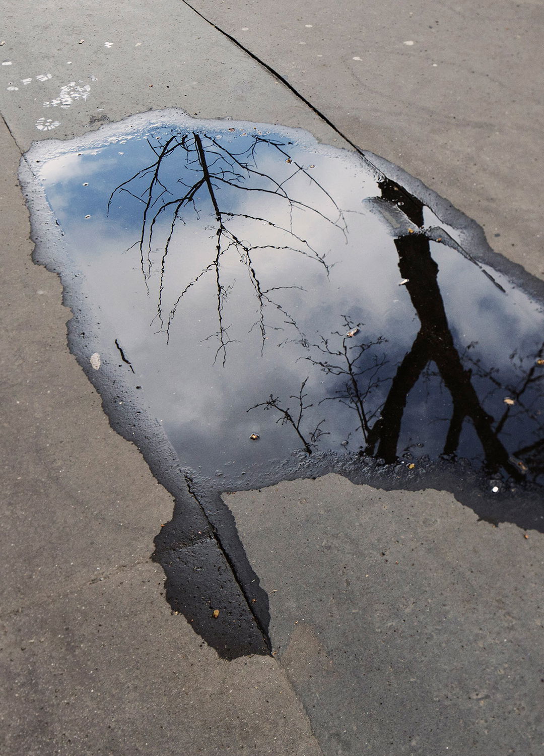 Adrian Brinkerhoff Matthew Thompson 02