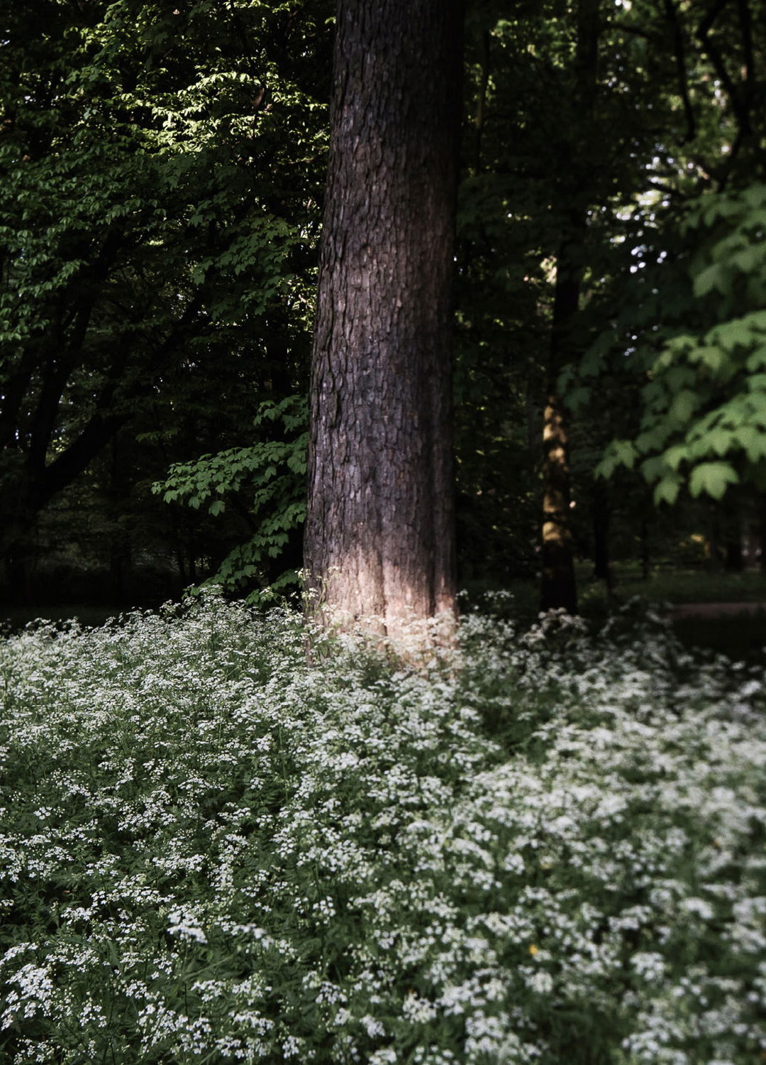 Adrian Brinkerhoff Matthew Thompson 103