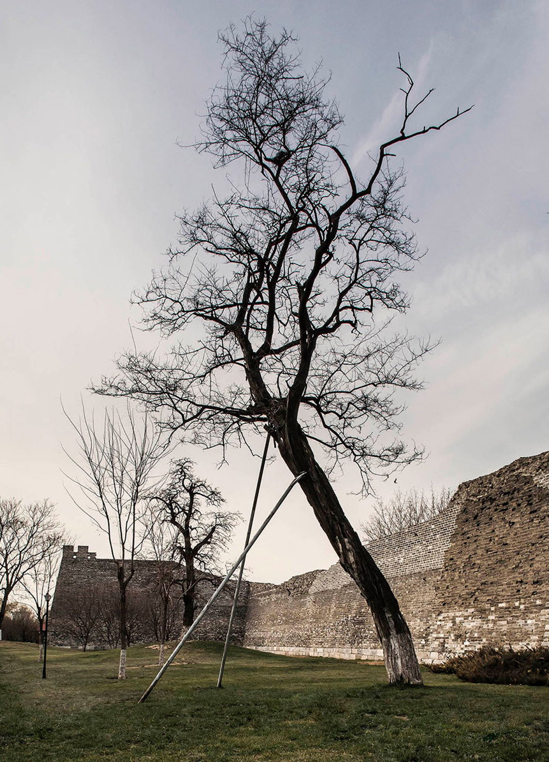 Adrian Brinkerhoff Matthew Thompson 108