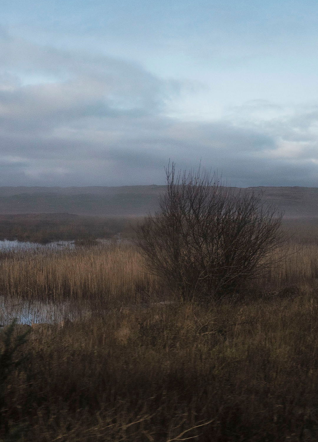 Adrian Brinkerhoff Matthew Thompson 113