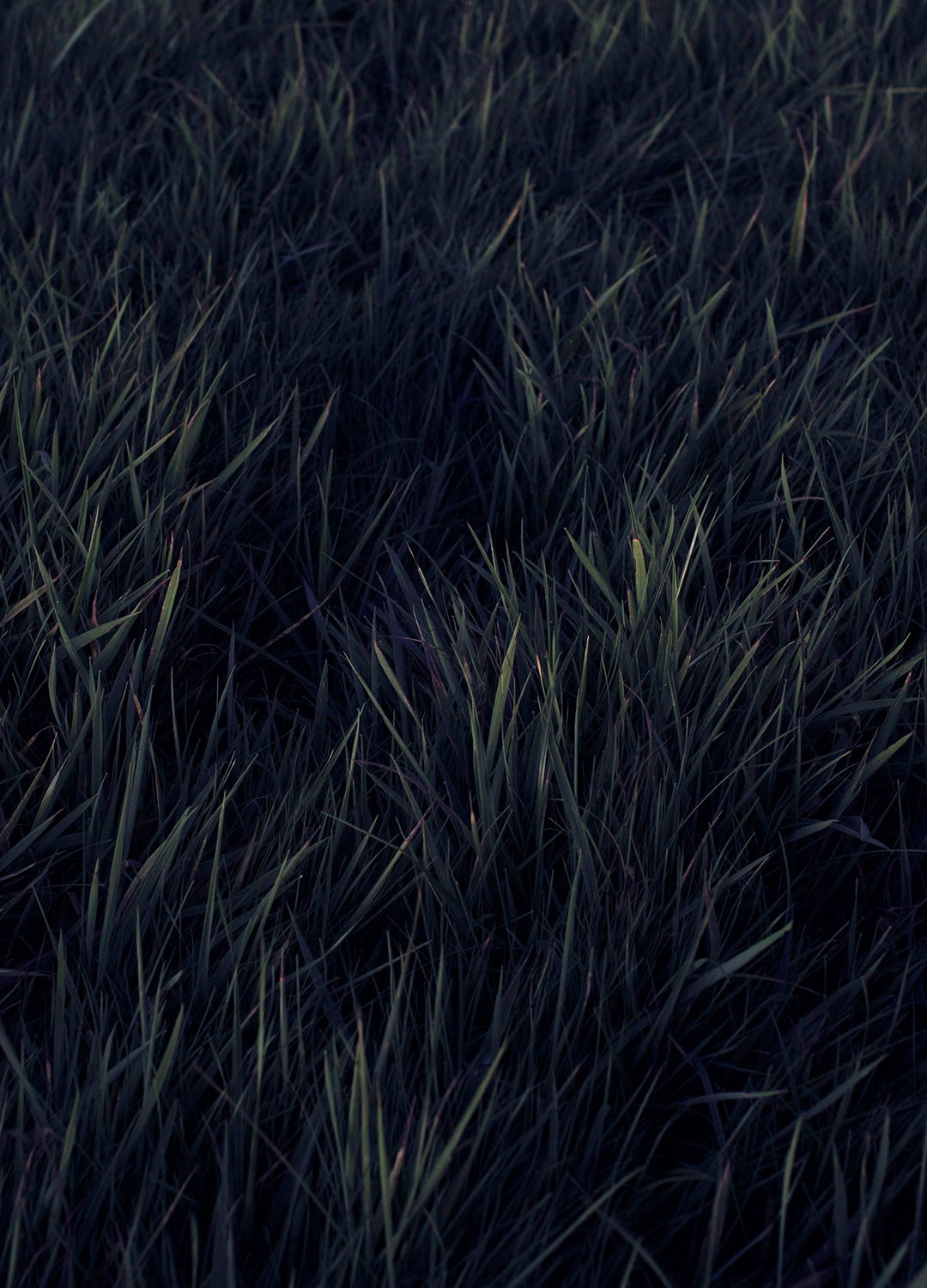 Adrian Brinkerhoff Matthew Thompson 116