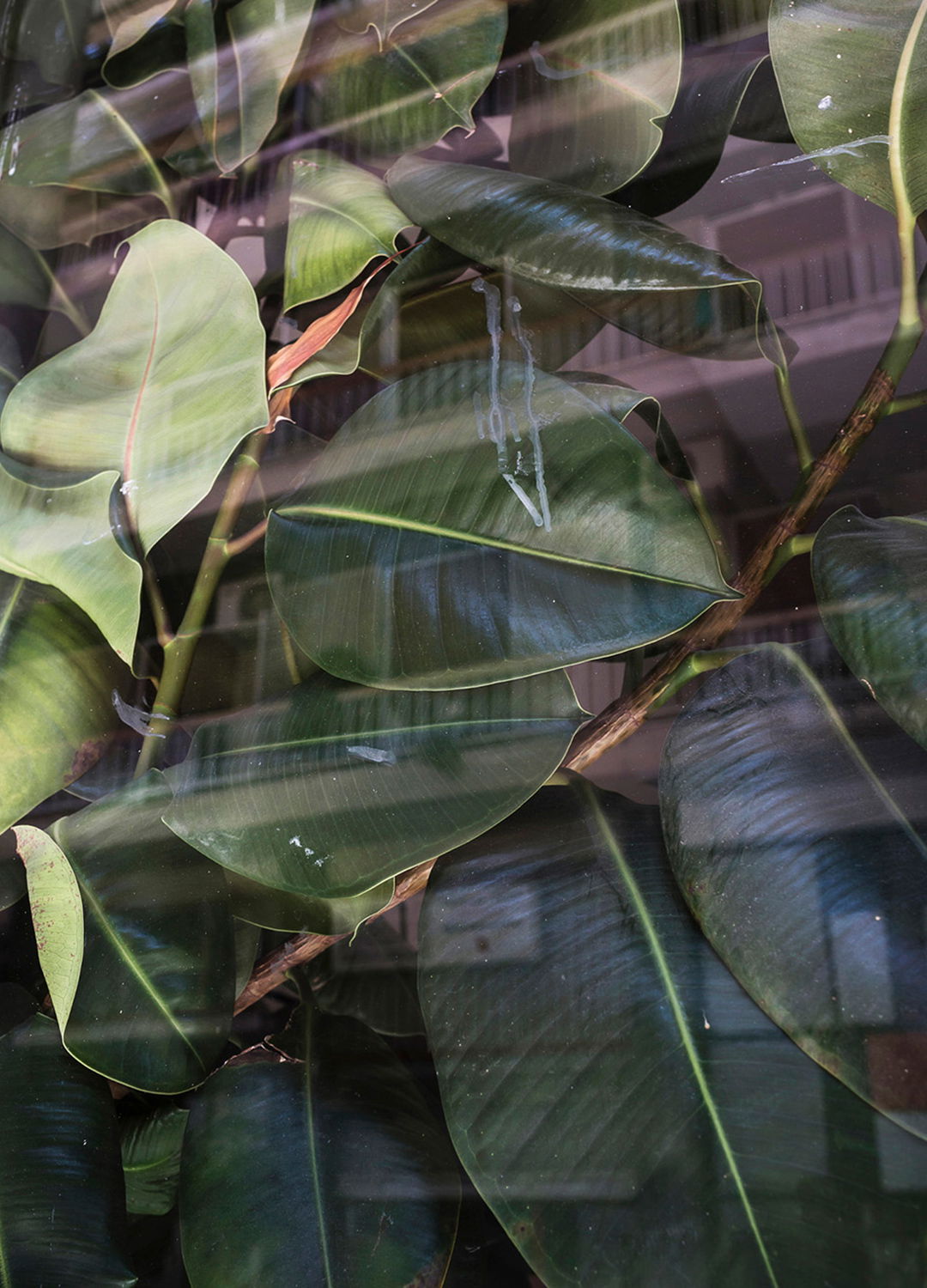 Adrian Brinkerhoff Matthew Thompson 120