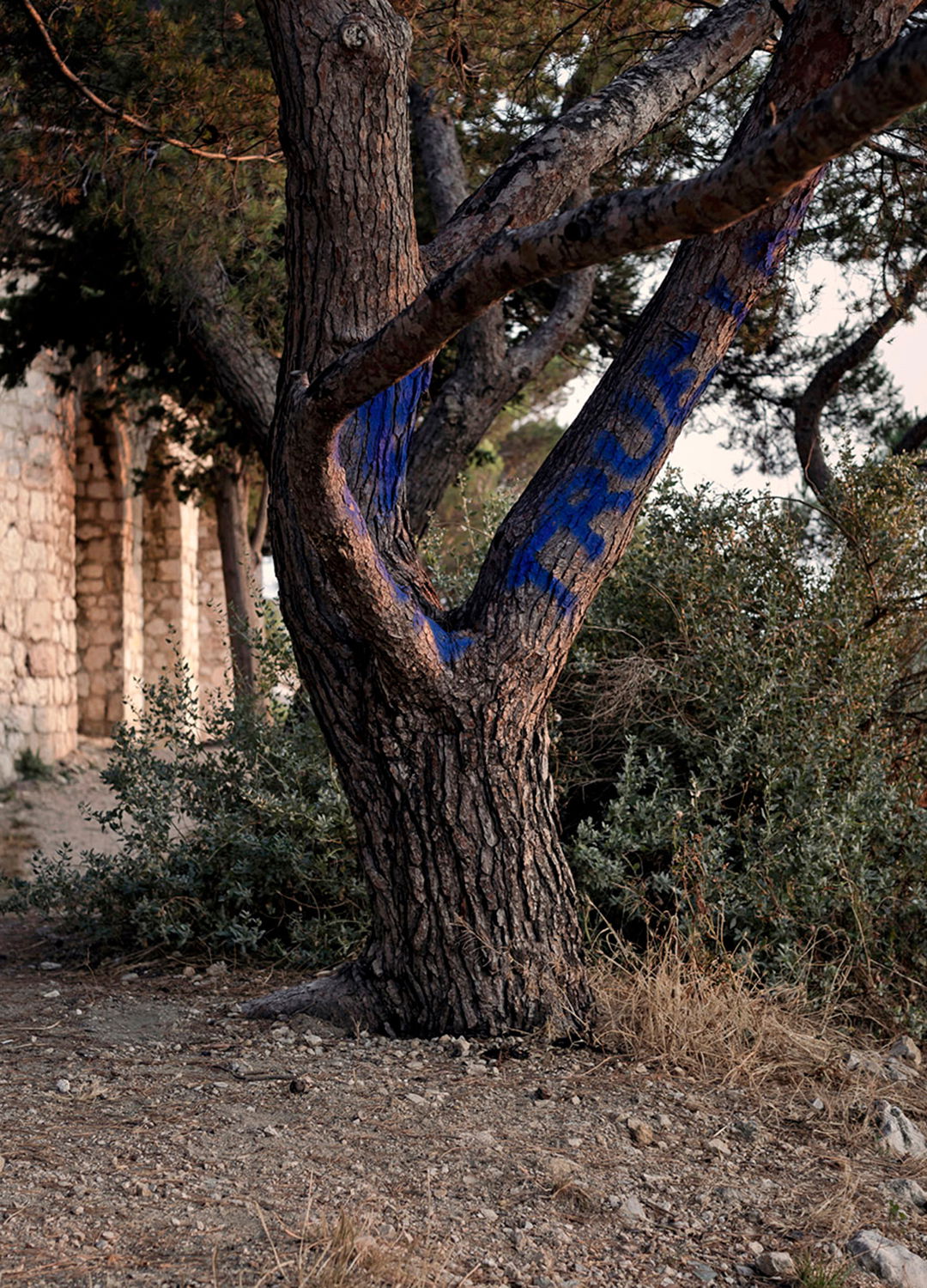 Adrian Brinkerhoff Matthew Thompson 121