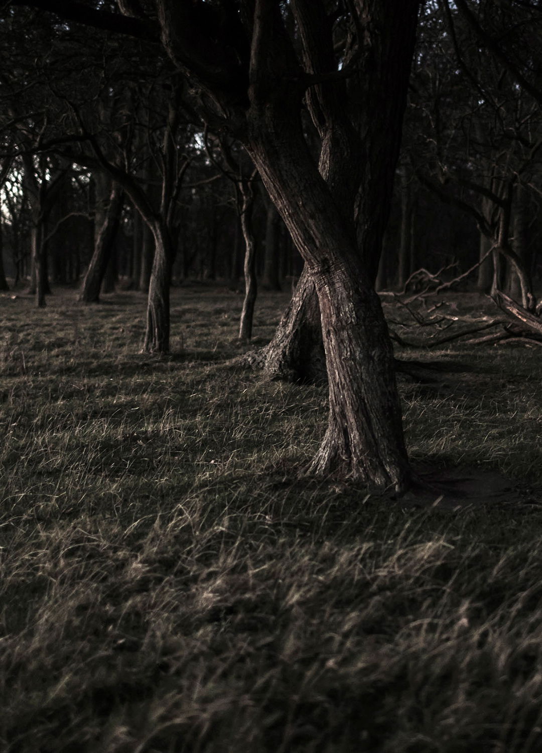 Adrian Brinkerhoff Matthew Thompson 124