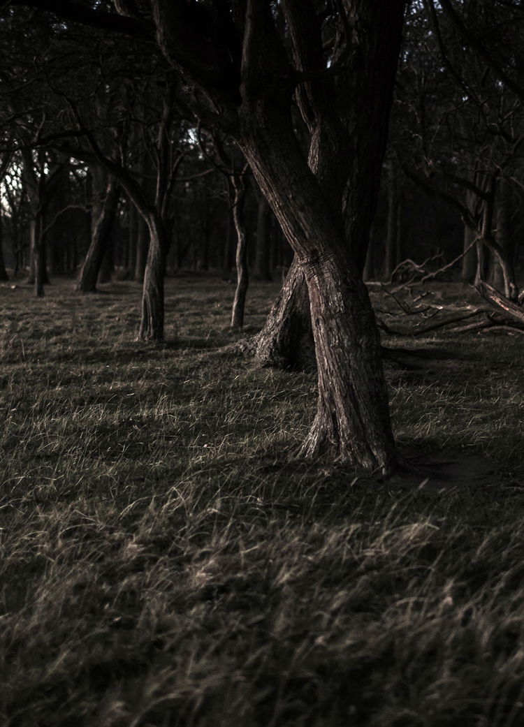 Adrian Brinkerhoff Matthew Thompson 124