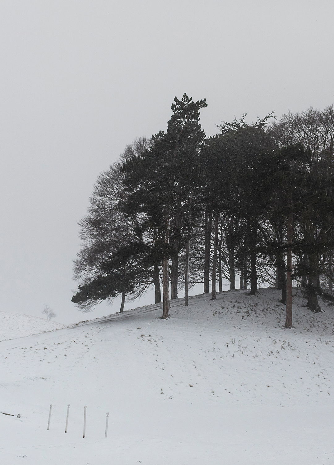 Adrian Brinkerhoff Matthew Thompson 131