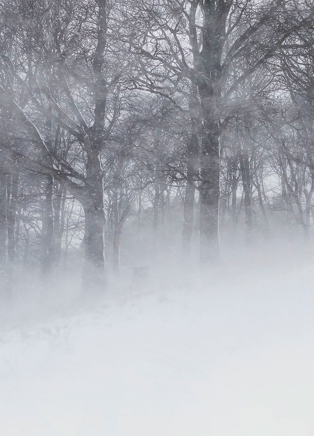 Adrian Brinkerhoff Matthew Thompson 132