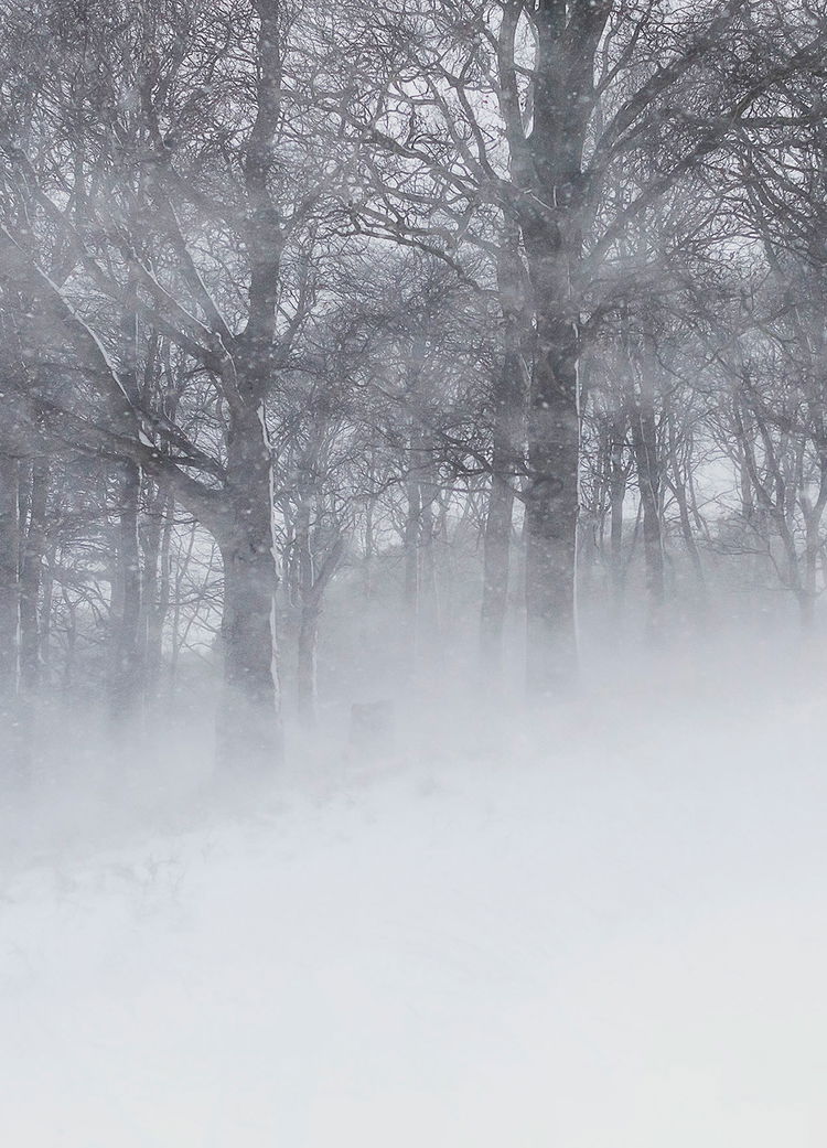 Adrian Brinkerhoff Matthew Thompson 132