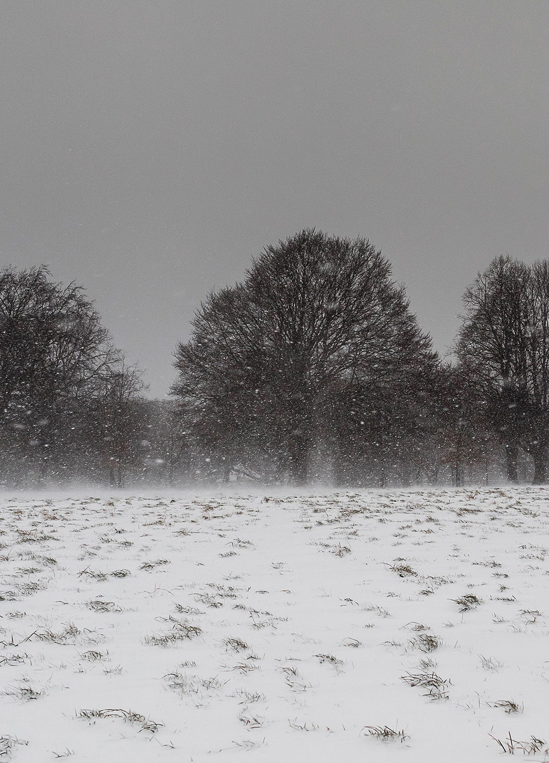 Adrian Brinkerhoff Matthew Thompson 133