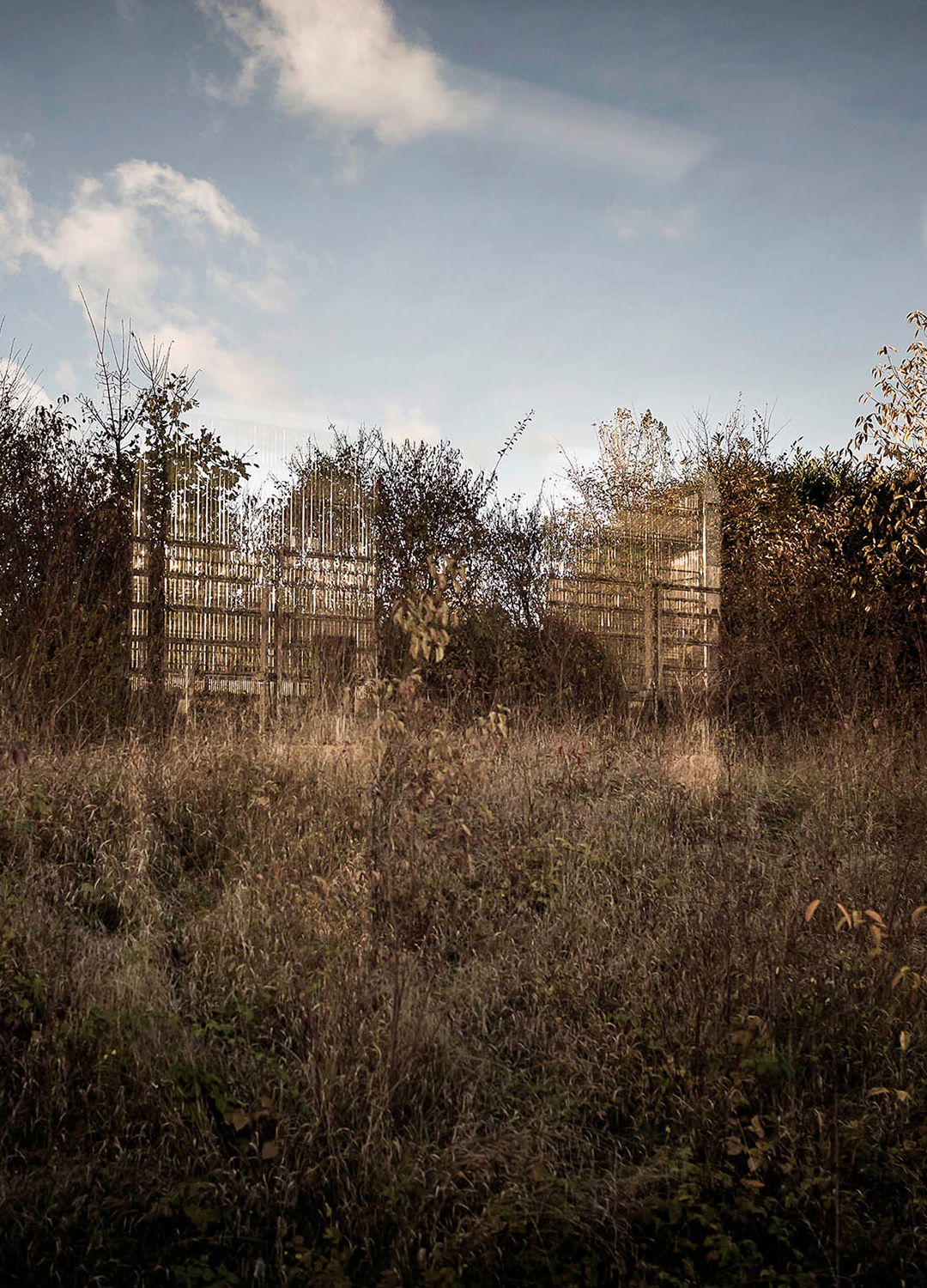 Adrian Brinkerhoff Matthew Thompson 134