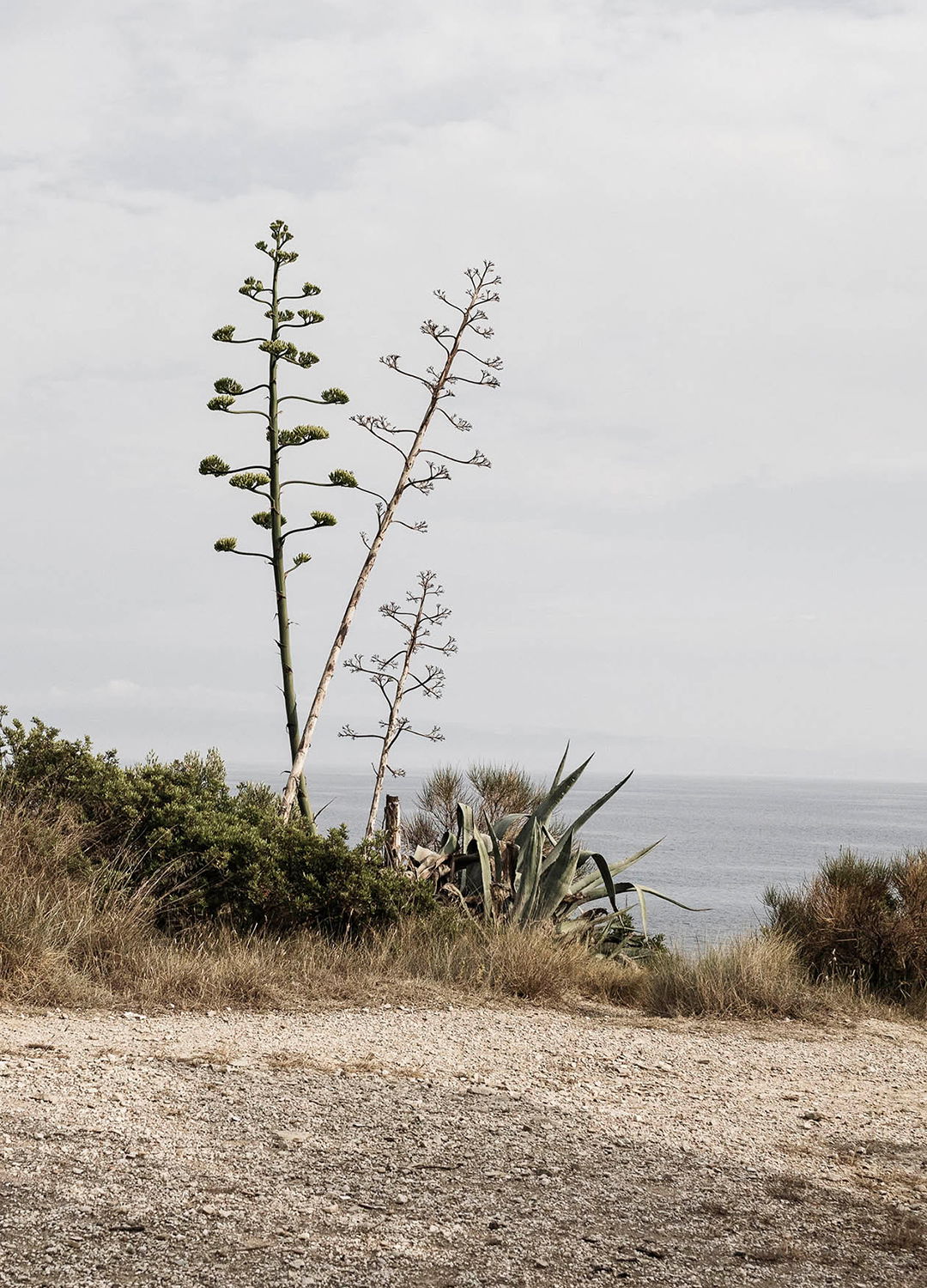 Adrian Brinkerhoff Matthew Thompson 150