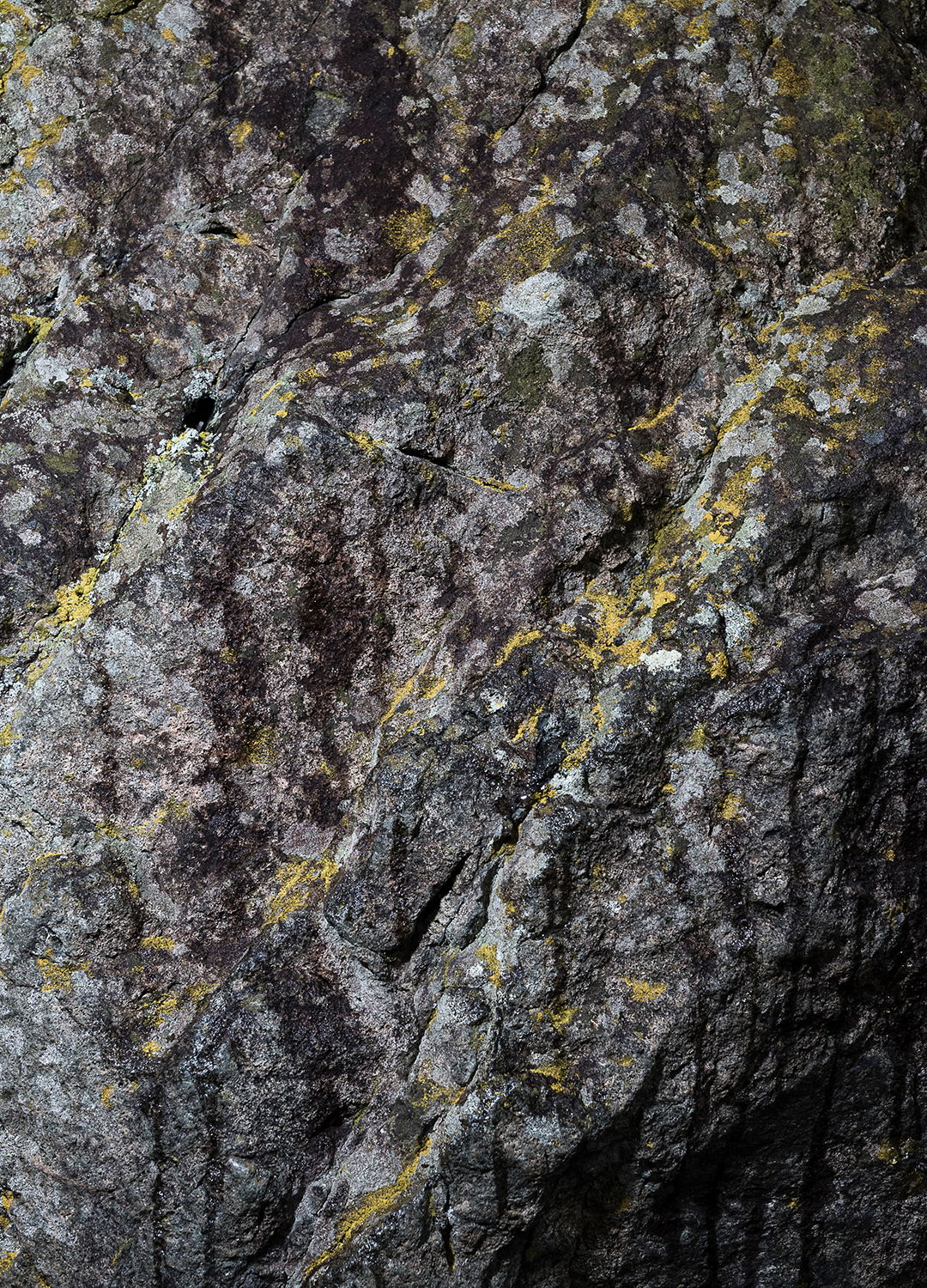 Adrian Brinkerhoff Matthew Thompson 153