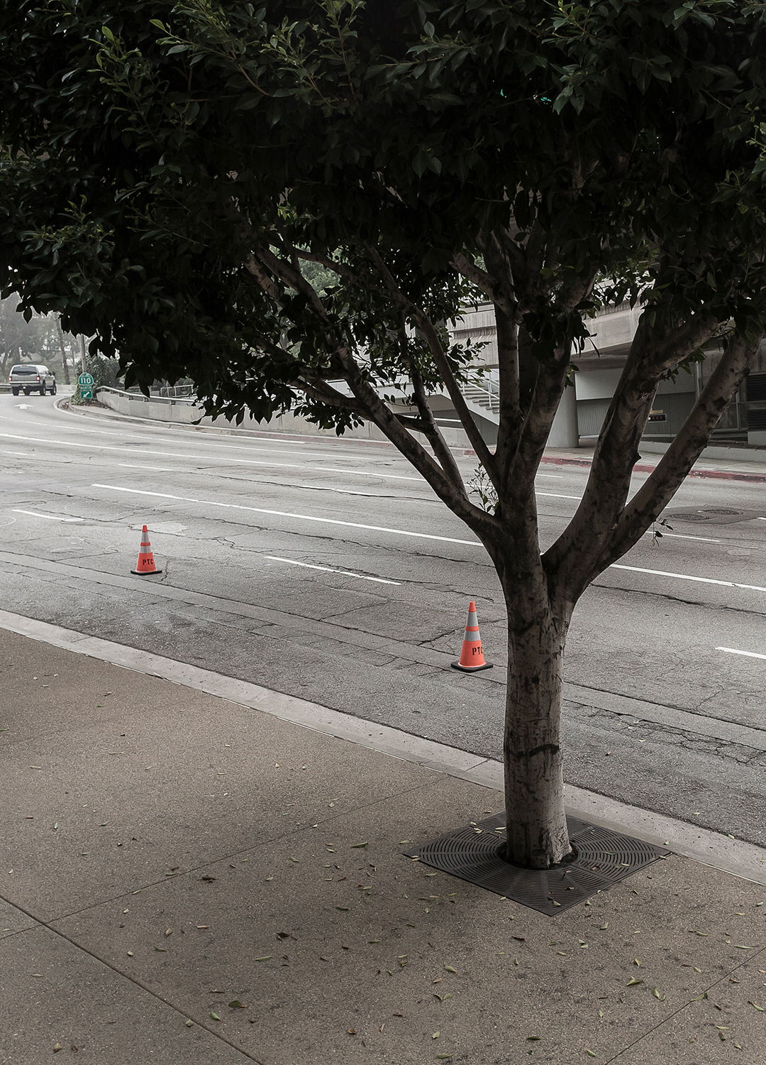 Adrian Brinkerhoff Matthew Thompson 154