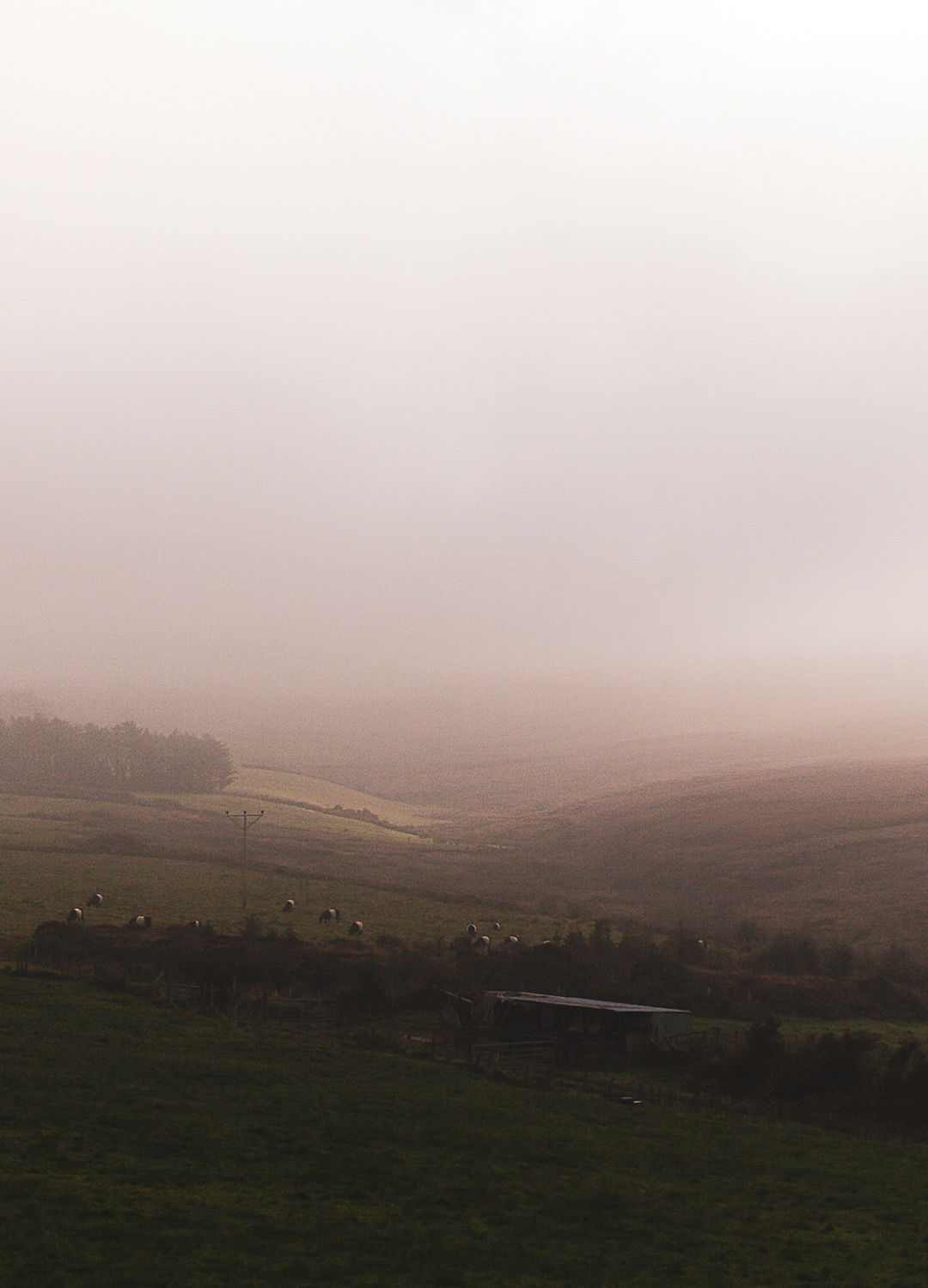 Adrian Brinkerhoff Matthew Thompson 157