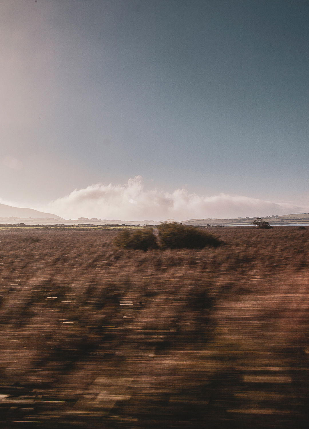 Adrian Brinkerhoff Matthew Thompson 158