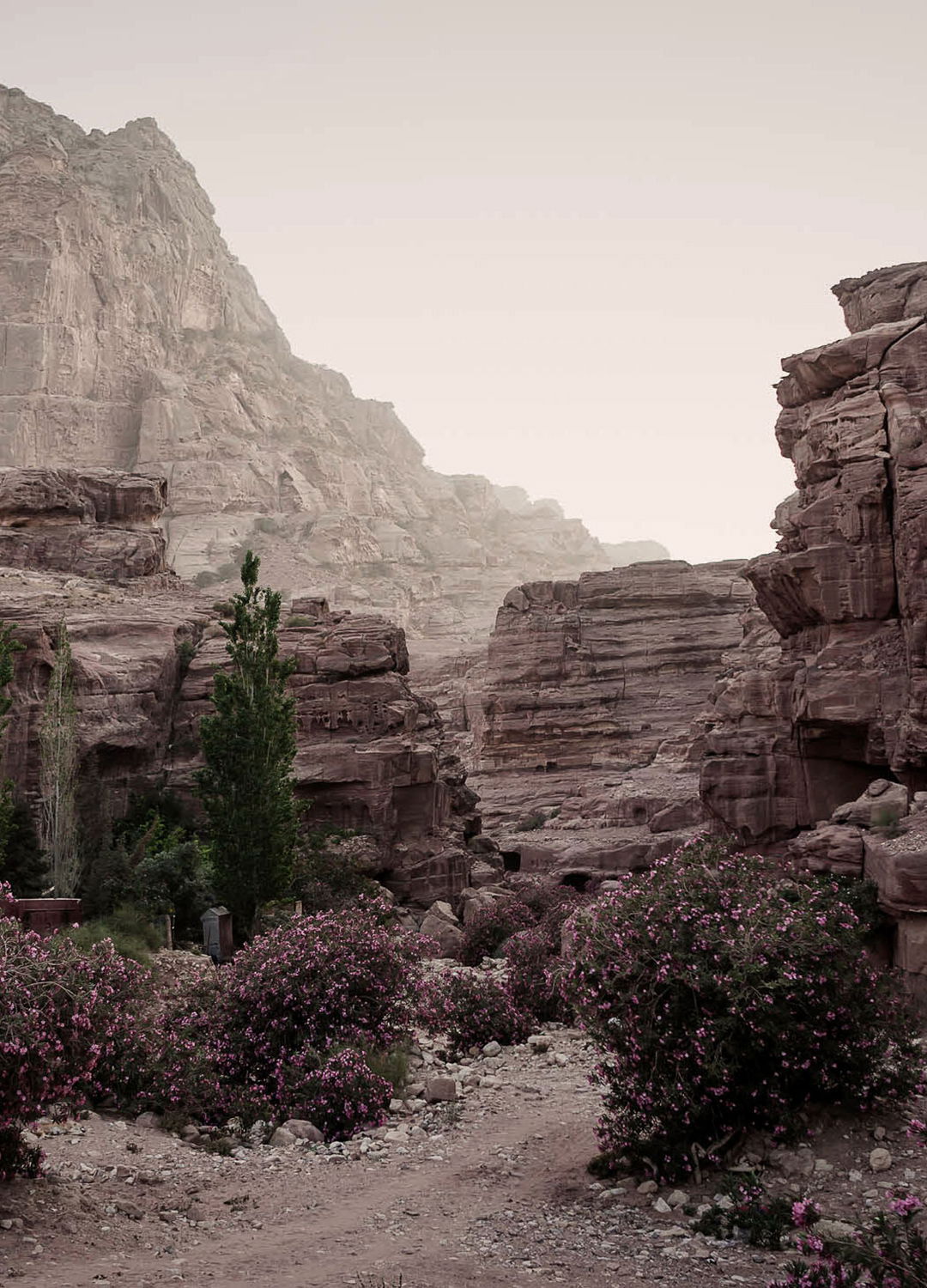 Adrian Brinkerhoff Matthew Thompson 161