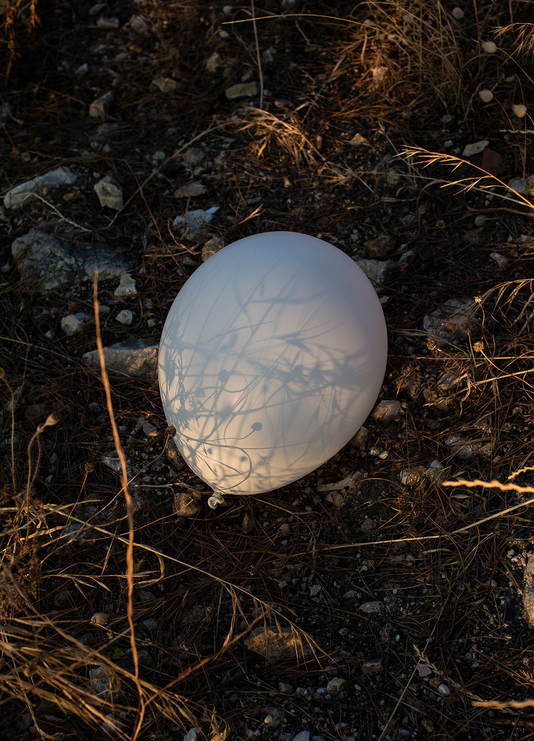 Adrian Brinkerhoff Matthew Thompson 167