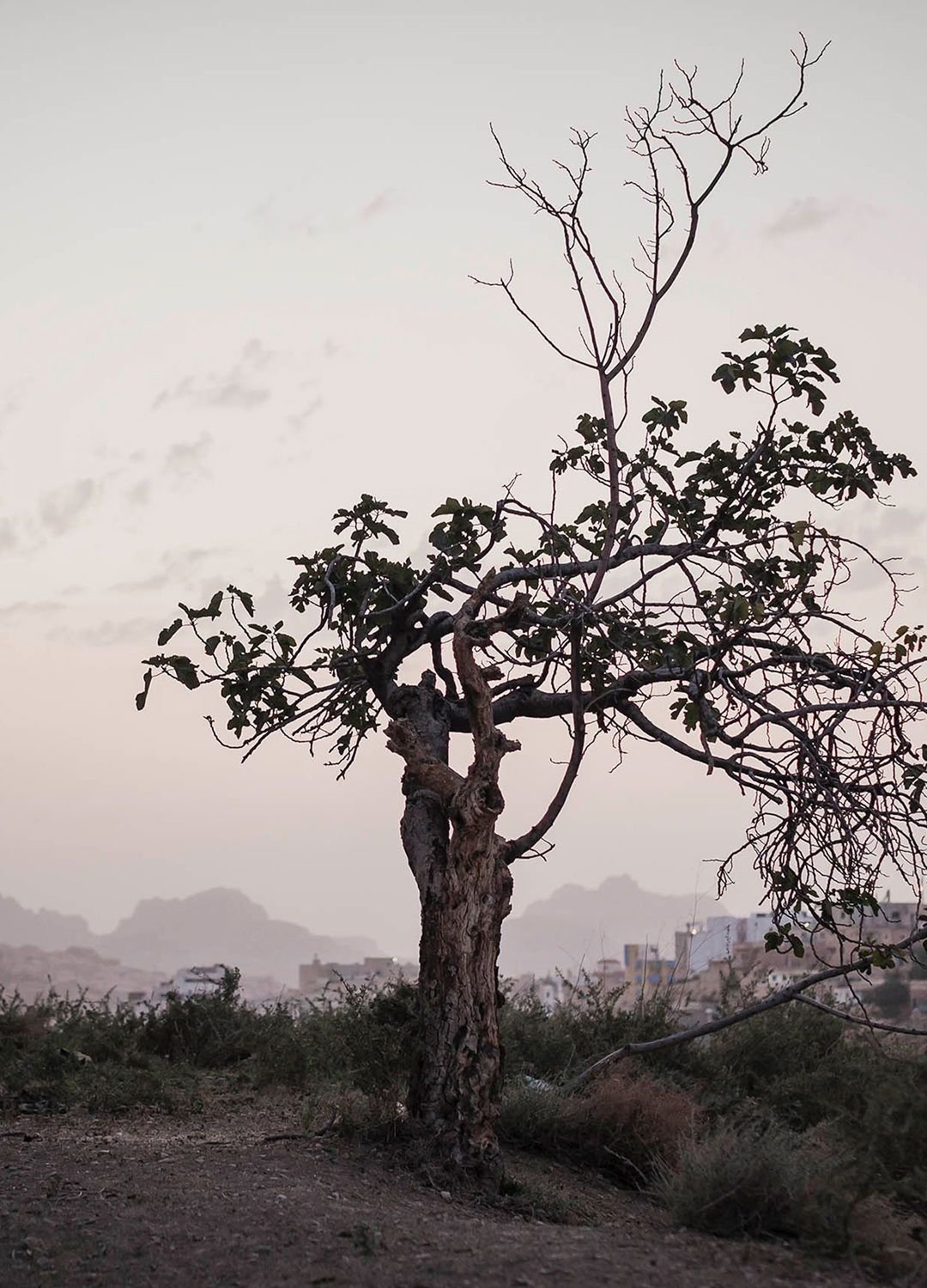 Adrian Brinkerhoff Matthew Thompson 169