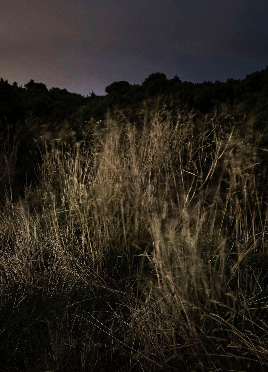 Adrian Brinkerhoff Matthew Thompson 170