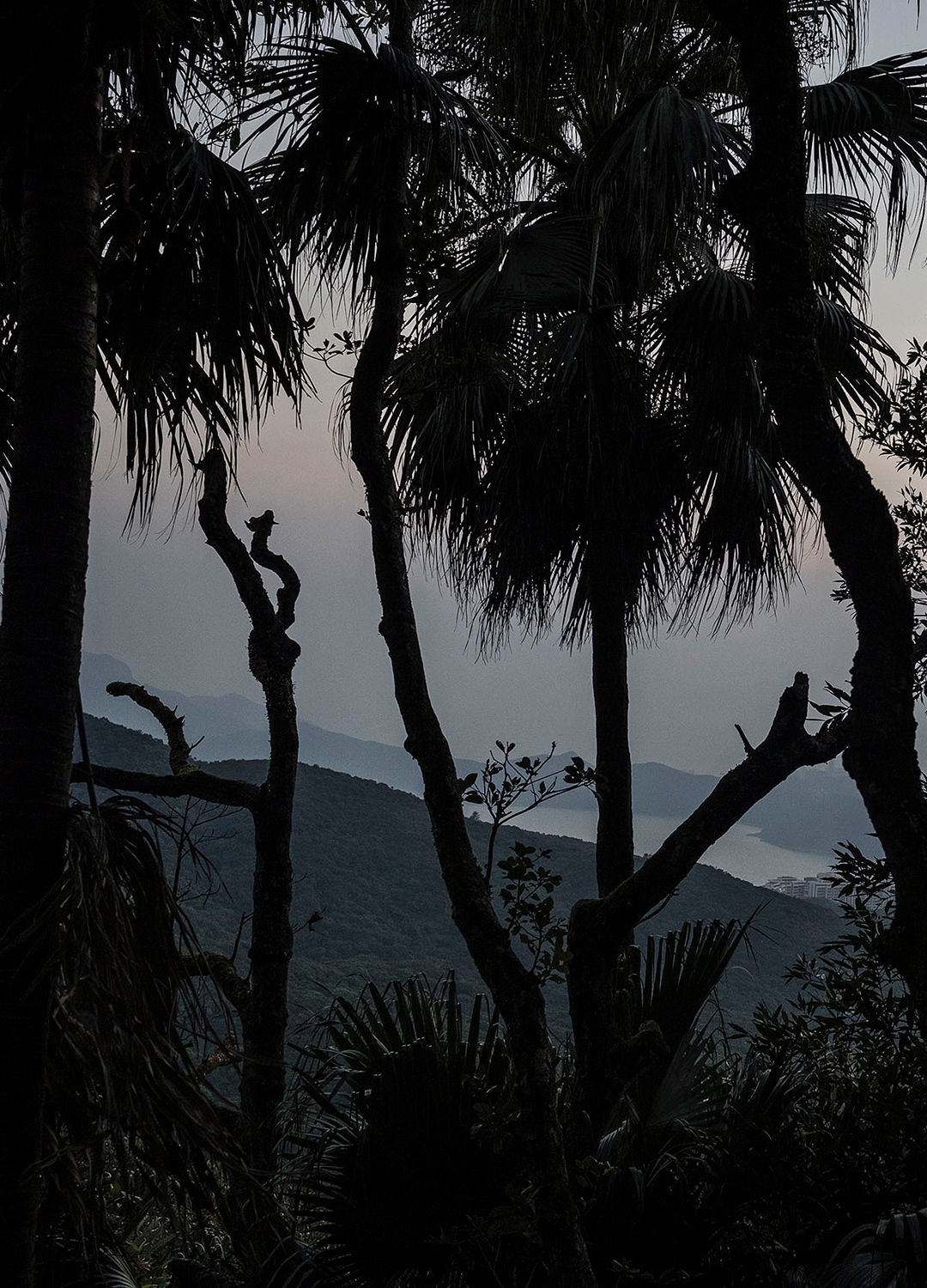 Adrian Brinkerhoff Matthew Thompson 172