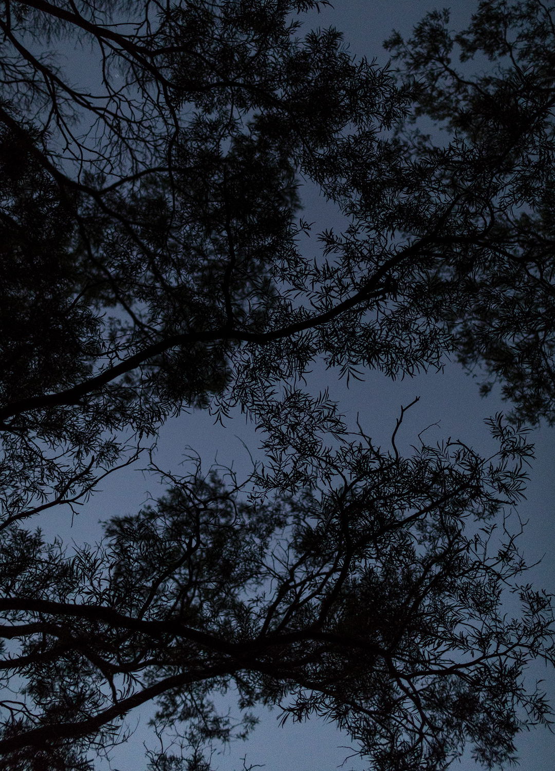 Adrian Brinkerhoff Matthew Thompson 175