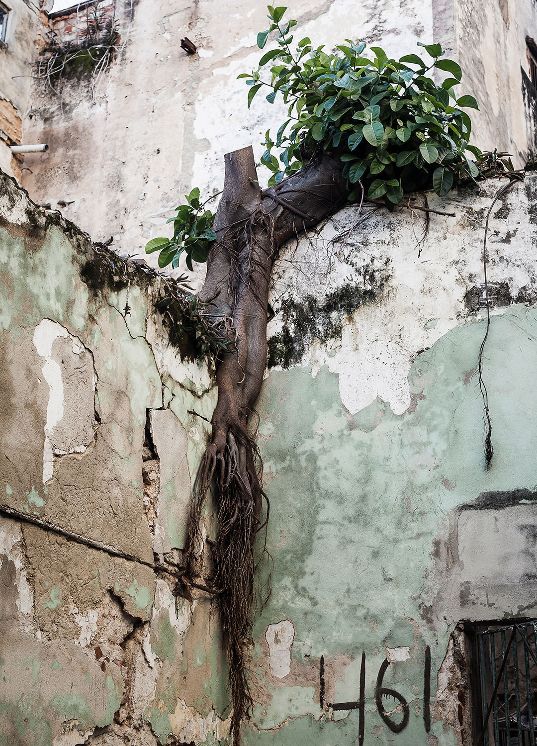 Adrian Brinkerhoff Matthew Thompson 182