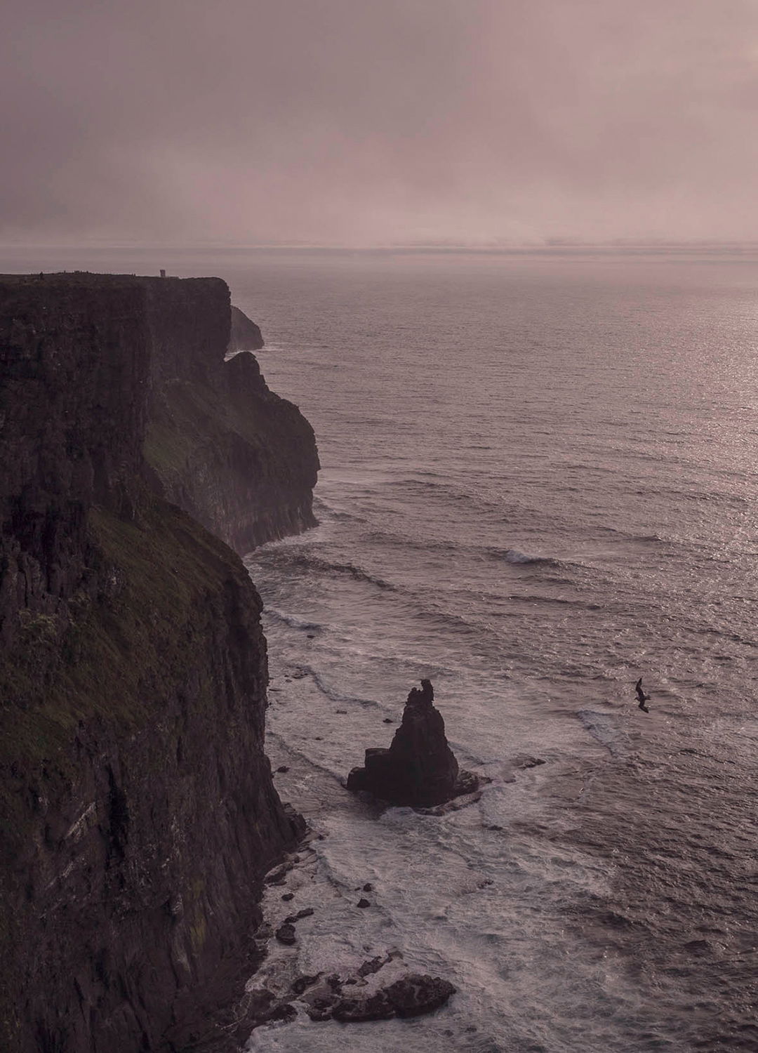 Adrian Brinkerhoff Matthew Thompson 186