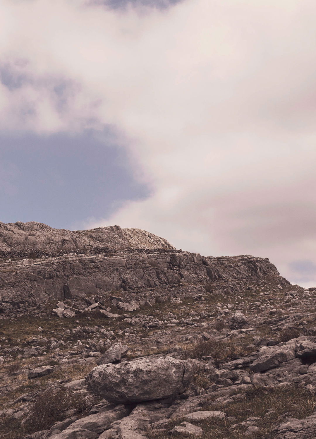 Adrian Brinkerhoff Matthew Thompson 192