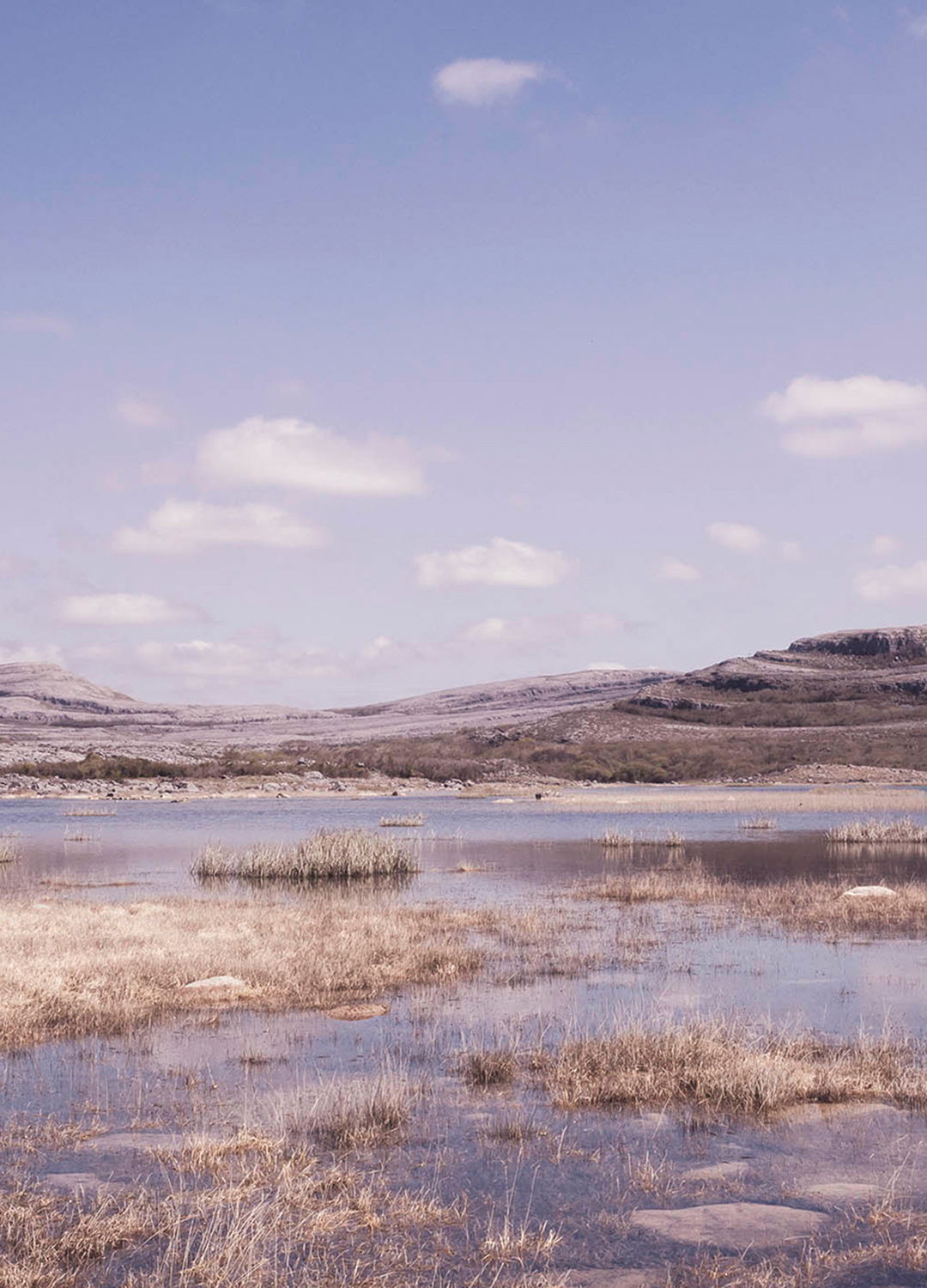 Adrian Brinkerhoff Matthew Thompson 194