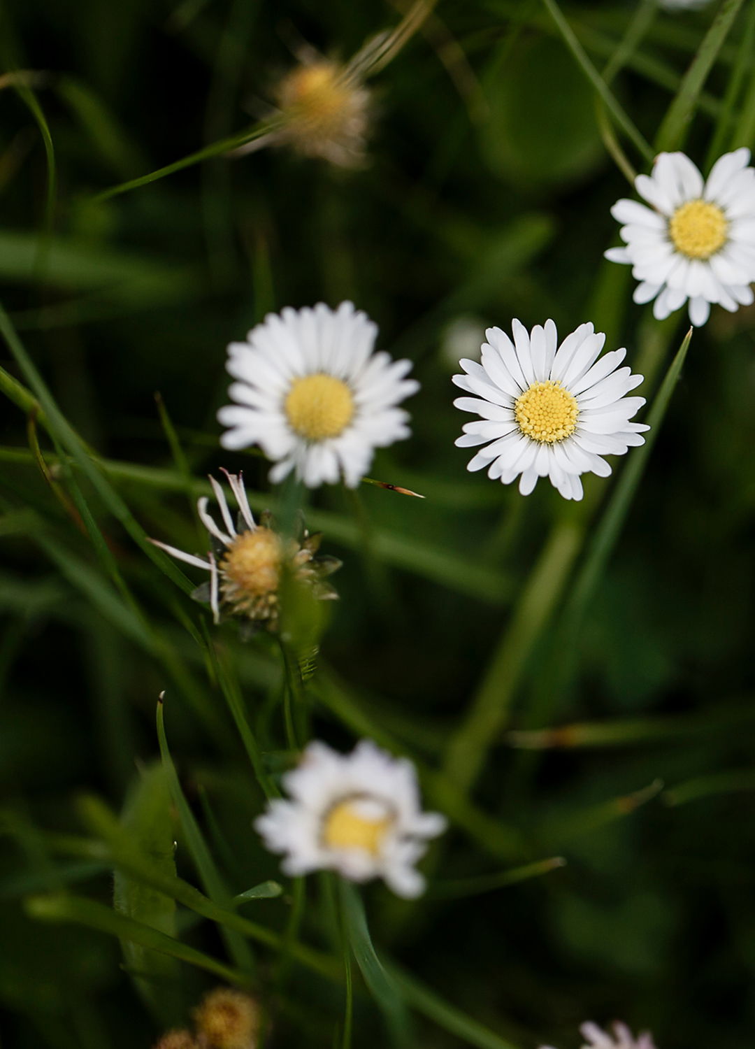 Adrian Brinkerhoff Matthew Thompson 196