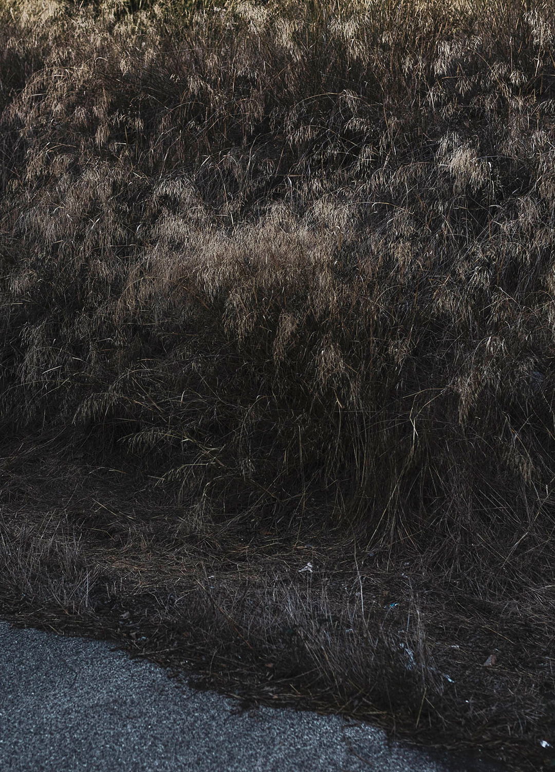 Adrian Brinkerhoff Matthew Thompson 201