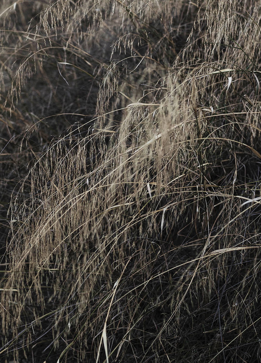 Adrian Brinkerhoff Matthew Thompson 202