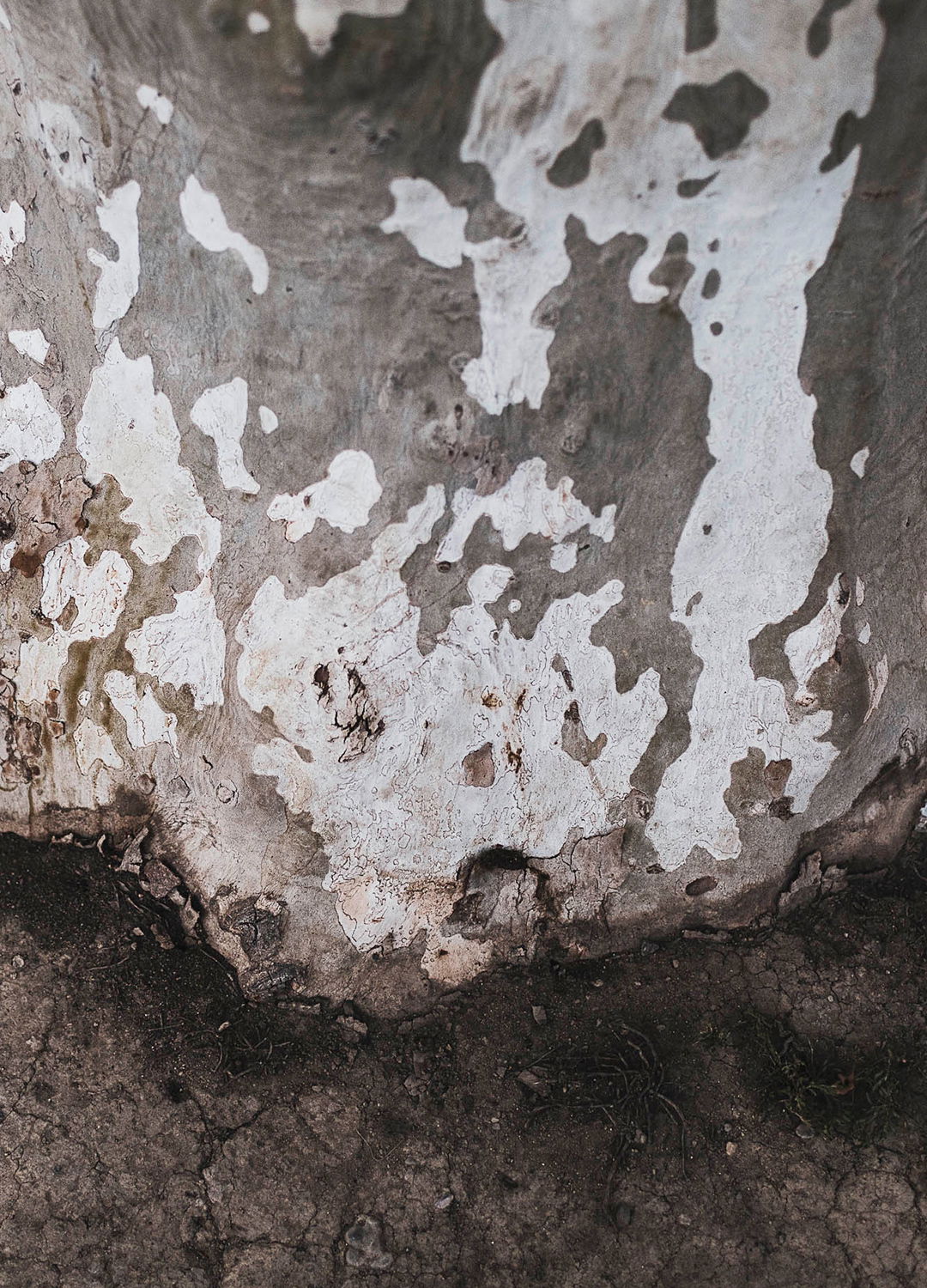 Adrian Brinkerhoff Matthew Thompson 203