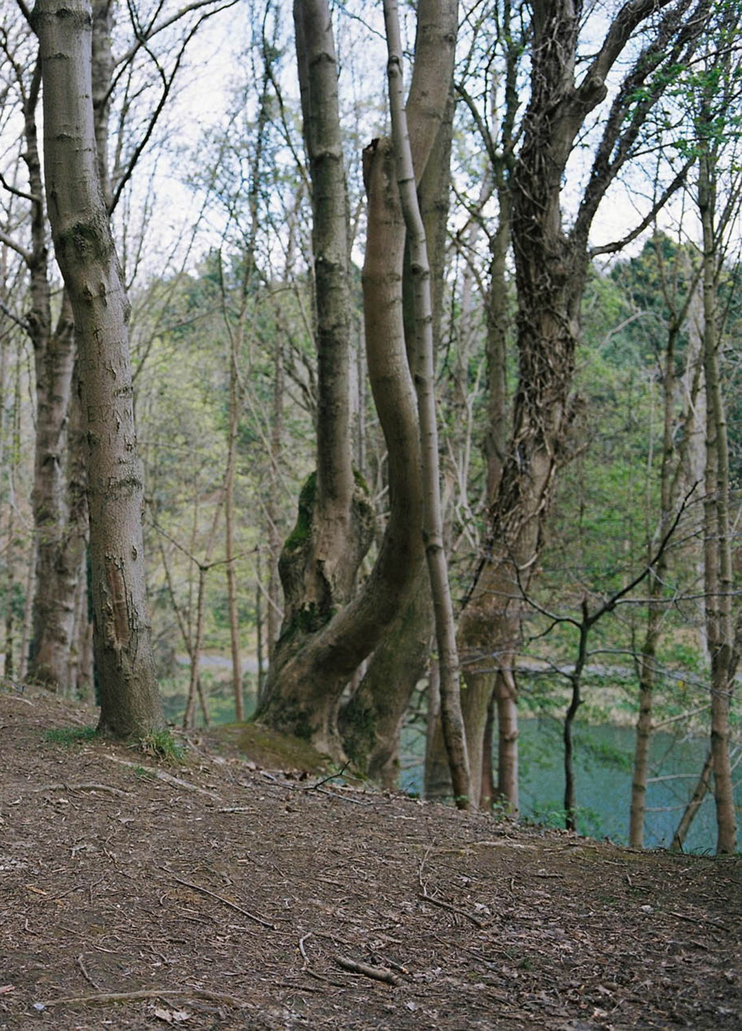 Adrian Brinkerhoff Matthew Thompson 207