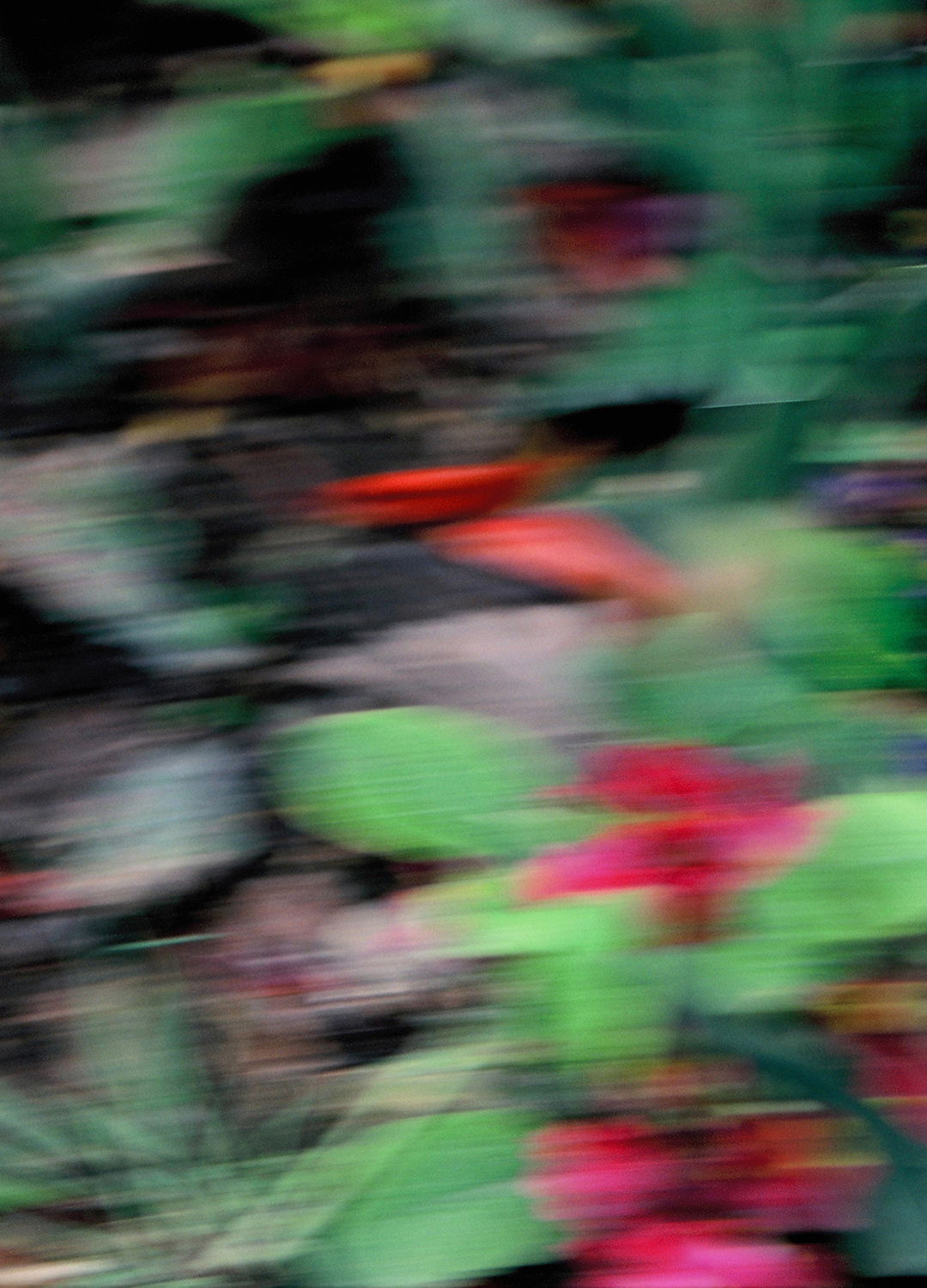 Adrian Brinkerhoff Matthew Thompson 208