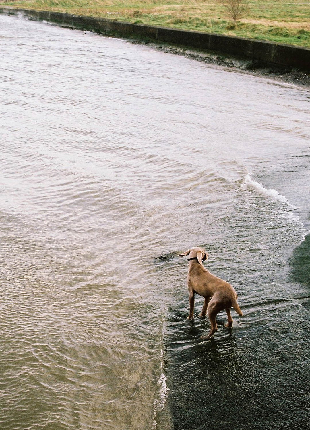 Adrian Brinkerhoff Matthew Thompson 210