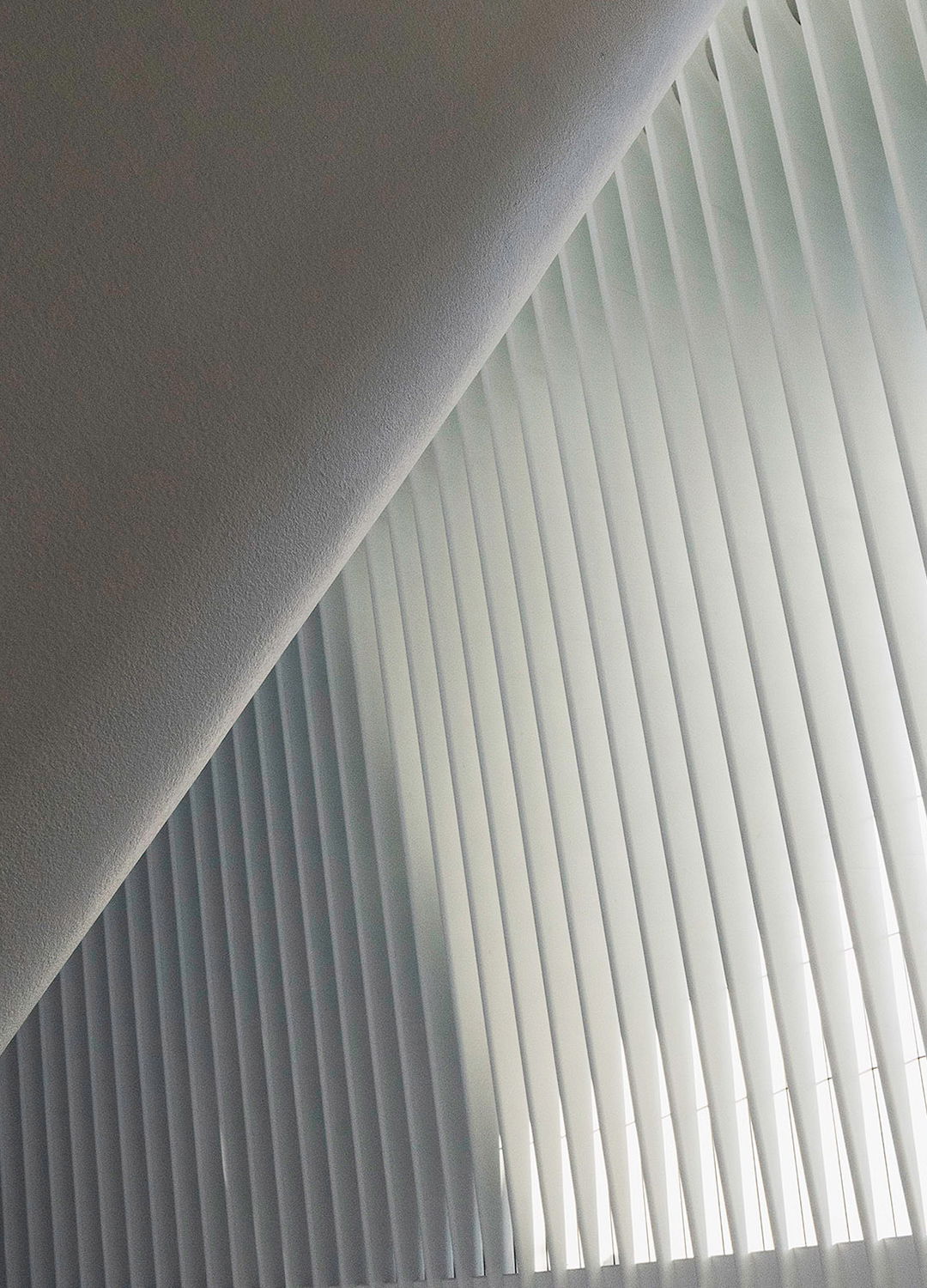 Adrian Brinkerhoff Matthew Thompson 24