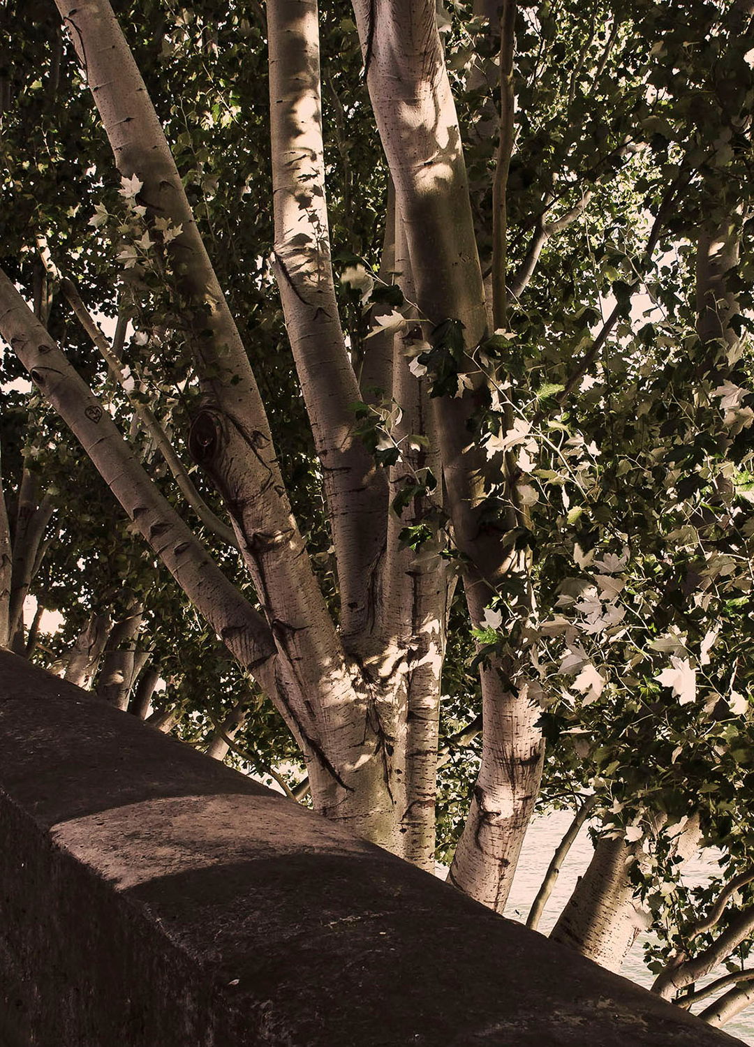 Adrian Brinkerhoff Matthew Thompson 29