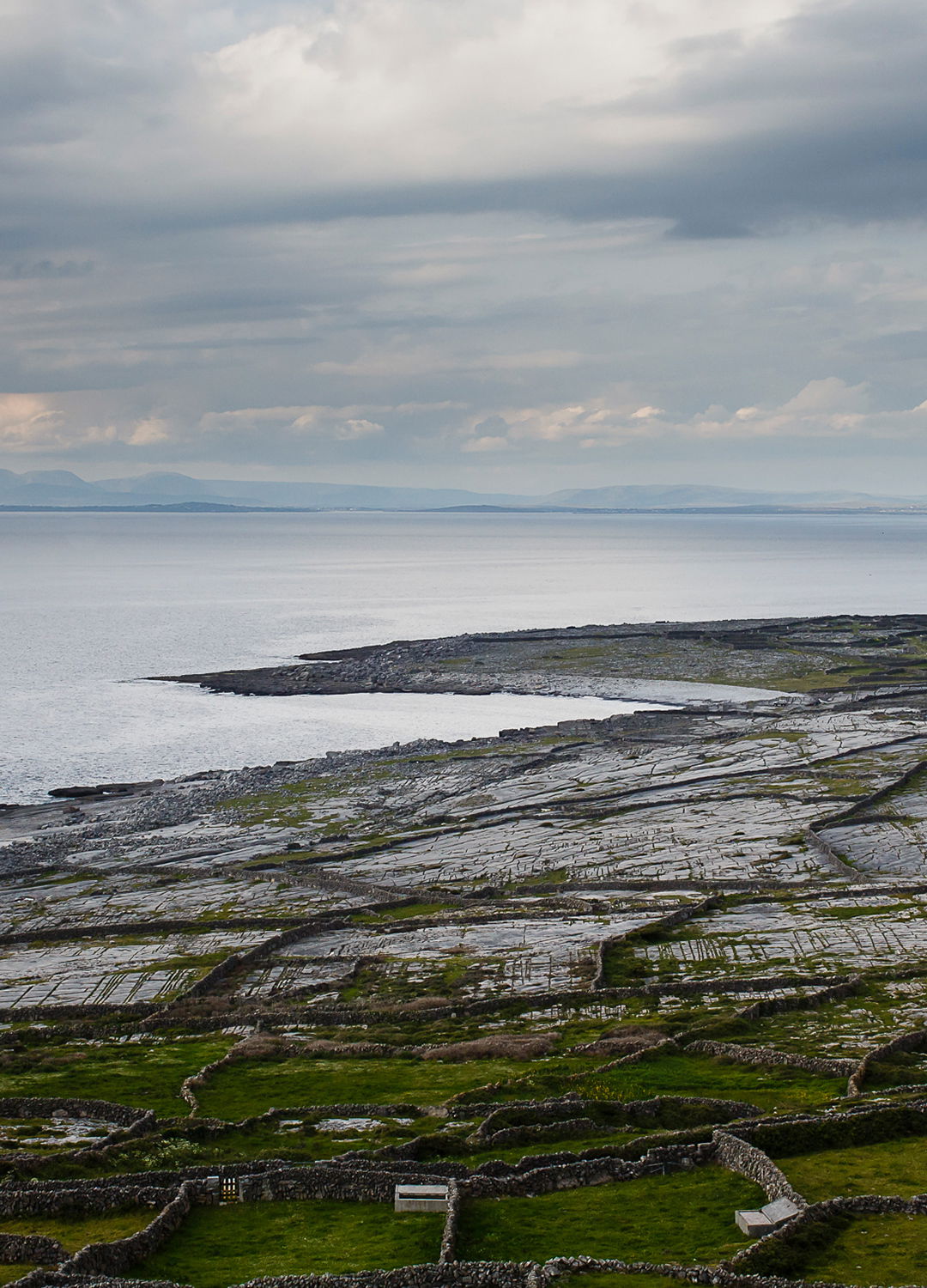 Adrian Brinkerhoff Matthew Thompson 36