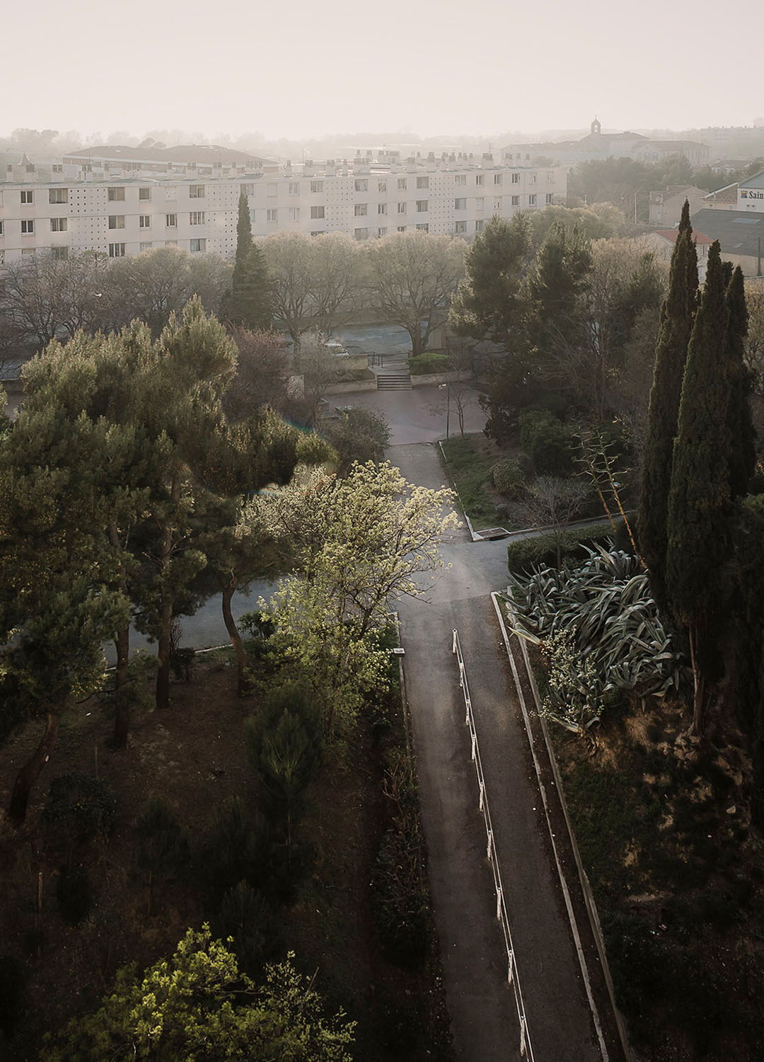 Adrian Brinkerhoff Matthew Thompson 37