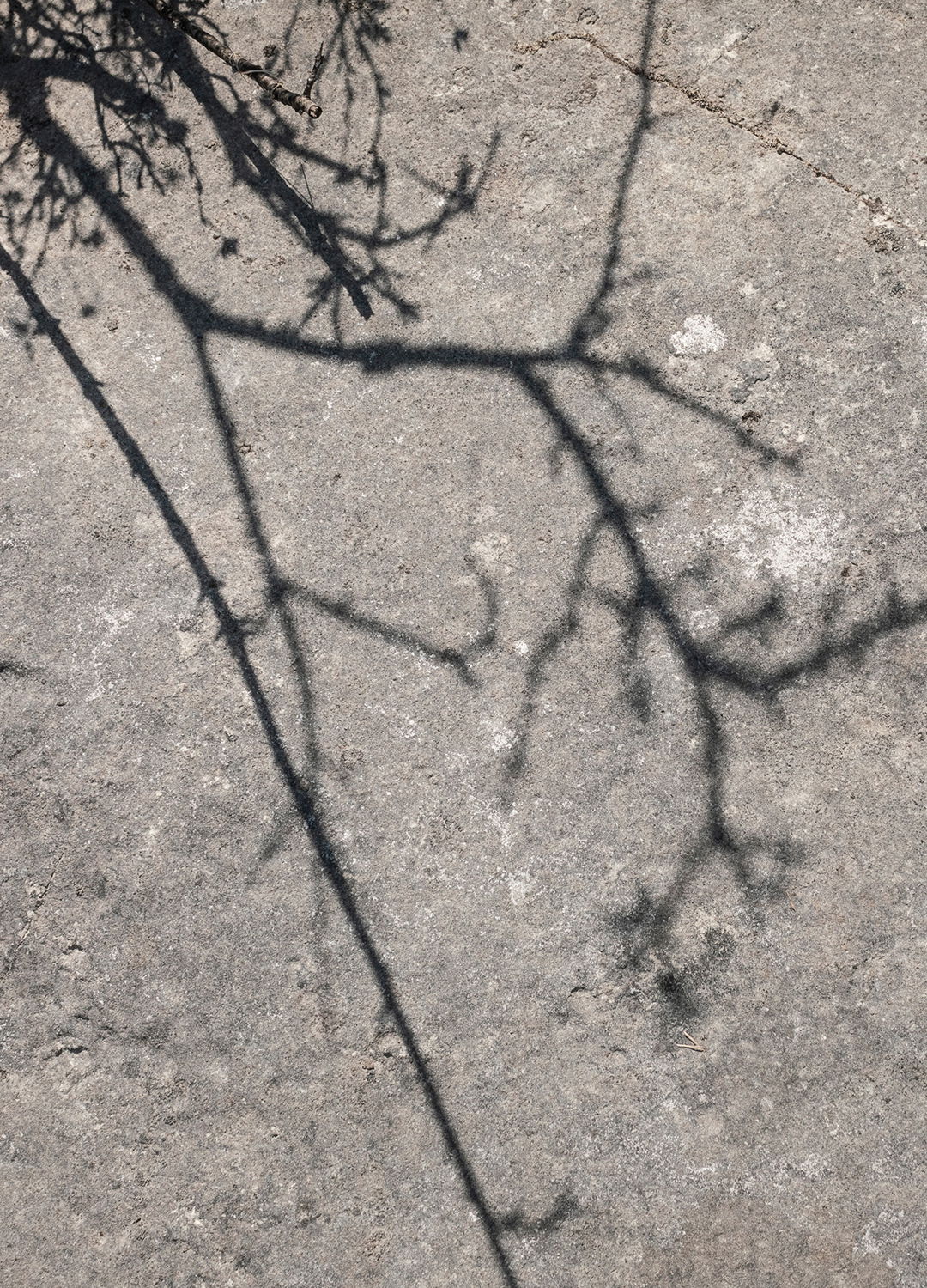 Adrian Brinkerhoff Matthew Thompson 39