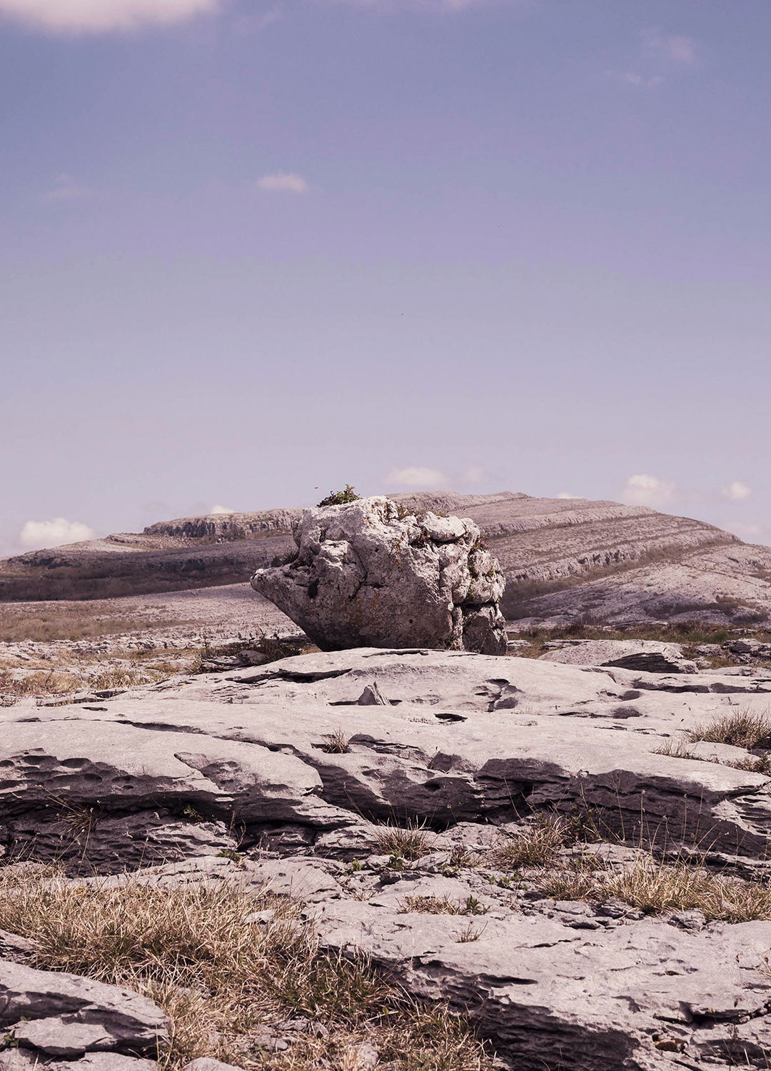 Adrian Brinkerhoff Matthew Thompson 41