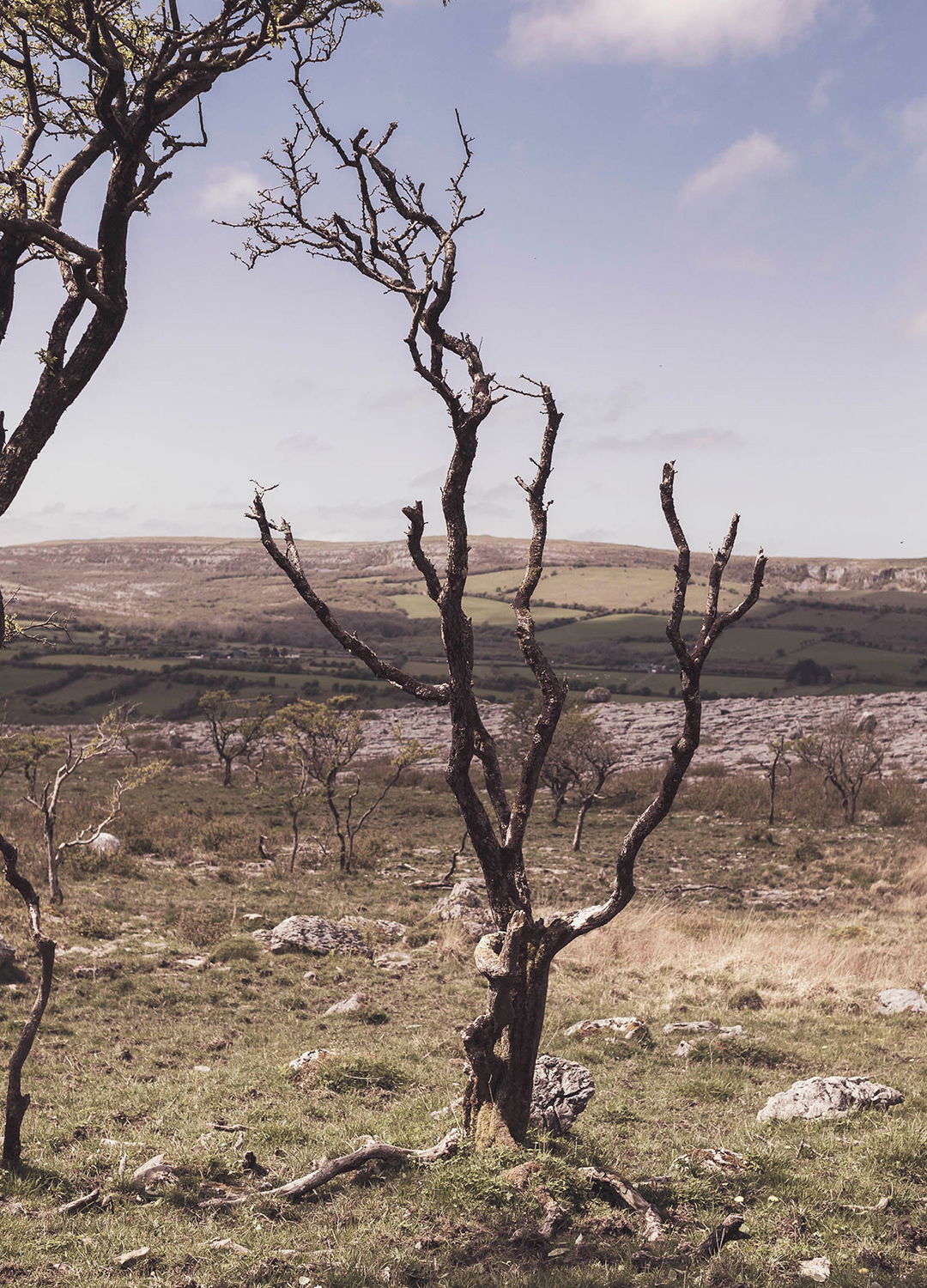 Adrian Brinkerhoff Matthew Thompson 42