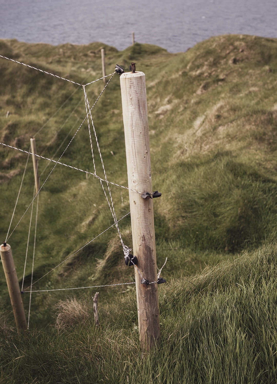 Adrian Brinkerhoff Matthew Thompson 43