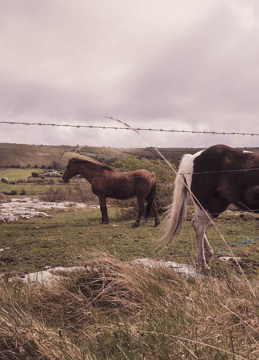 Adrian Brinkerhoff Matthew Thompson 45