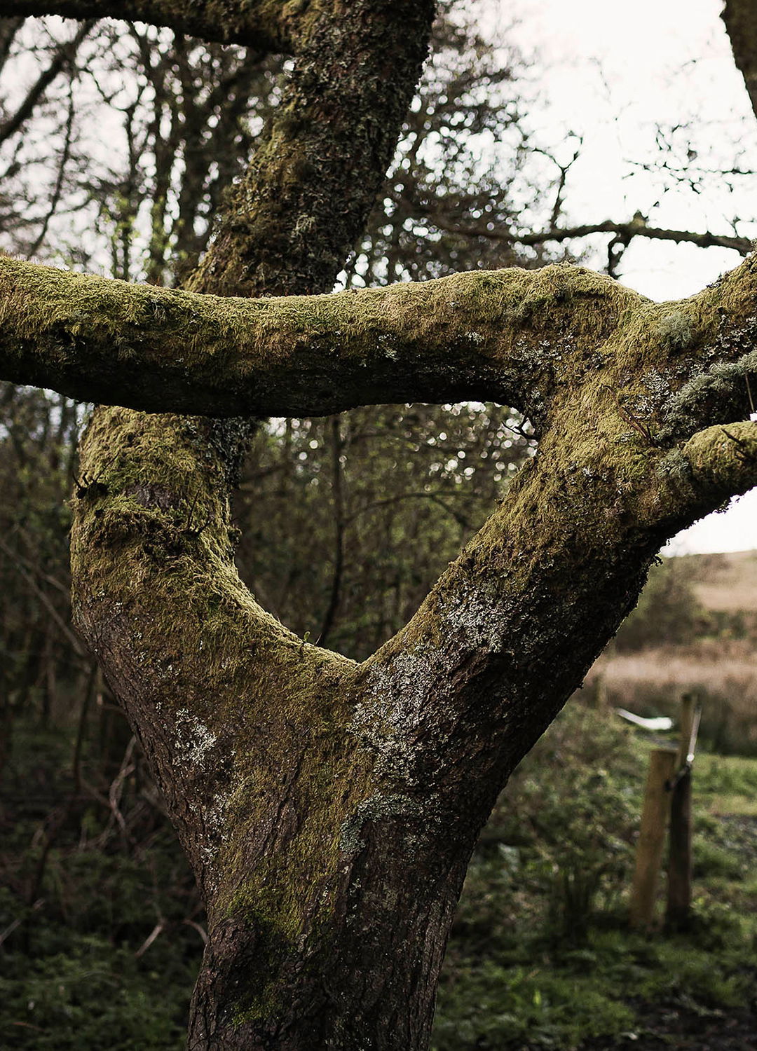 Adrian Brinkerhoff Matthew Thompson 67