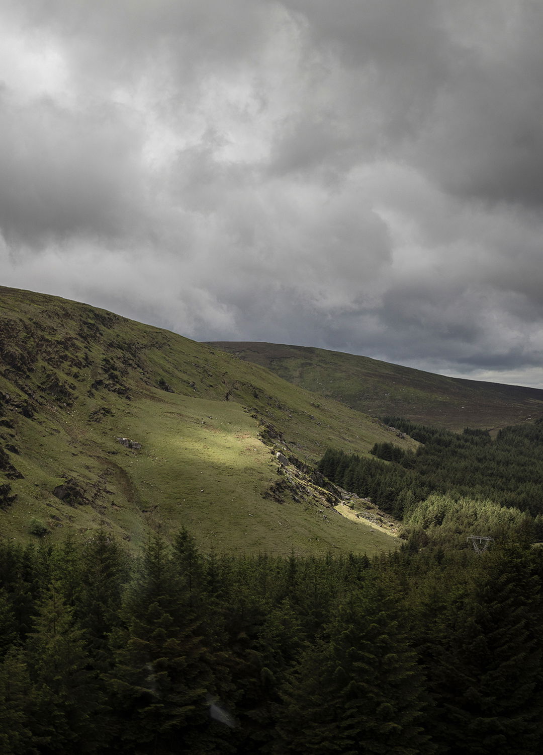 Adrian Brinkerhoff Matthew Thompson 78