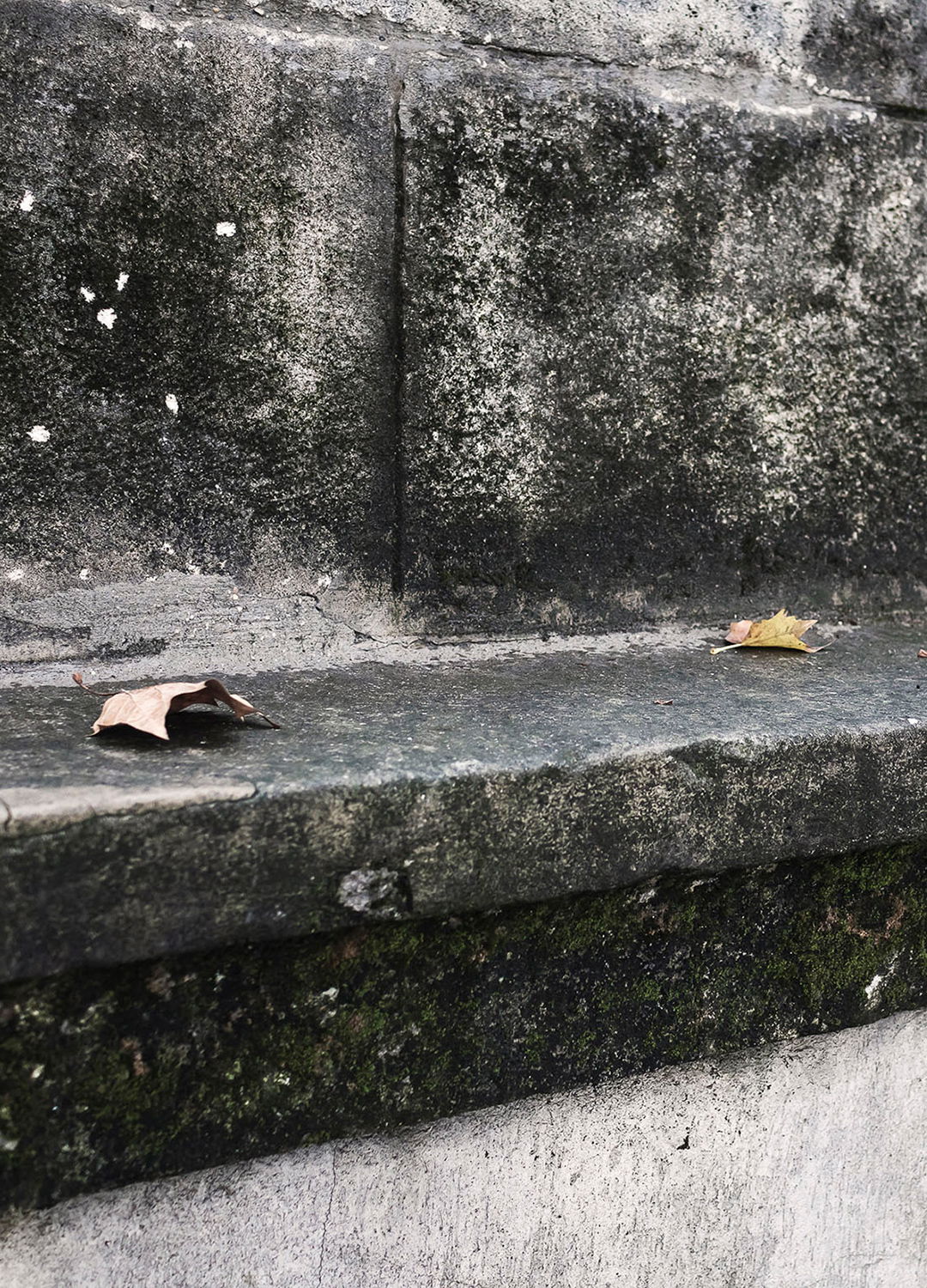 Adrian Brinkerhoff Matthew Thompson 96