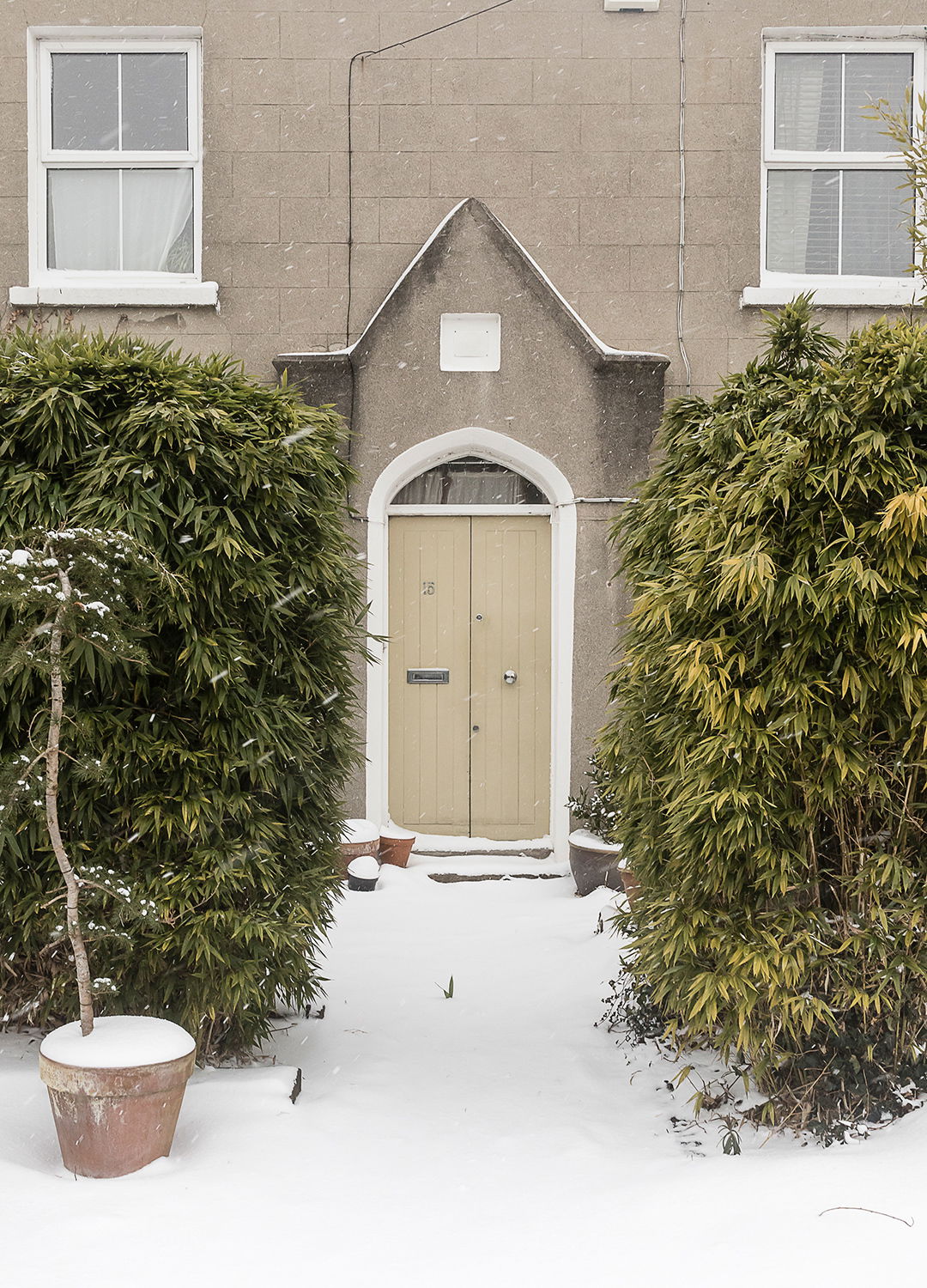 Adrian Brinkerhoff Matthew Thompson 98